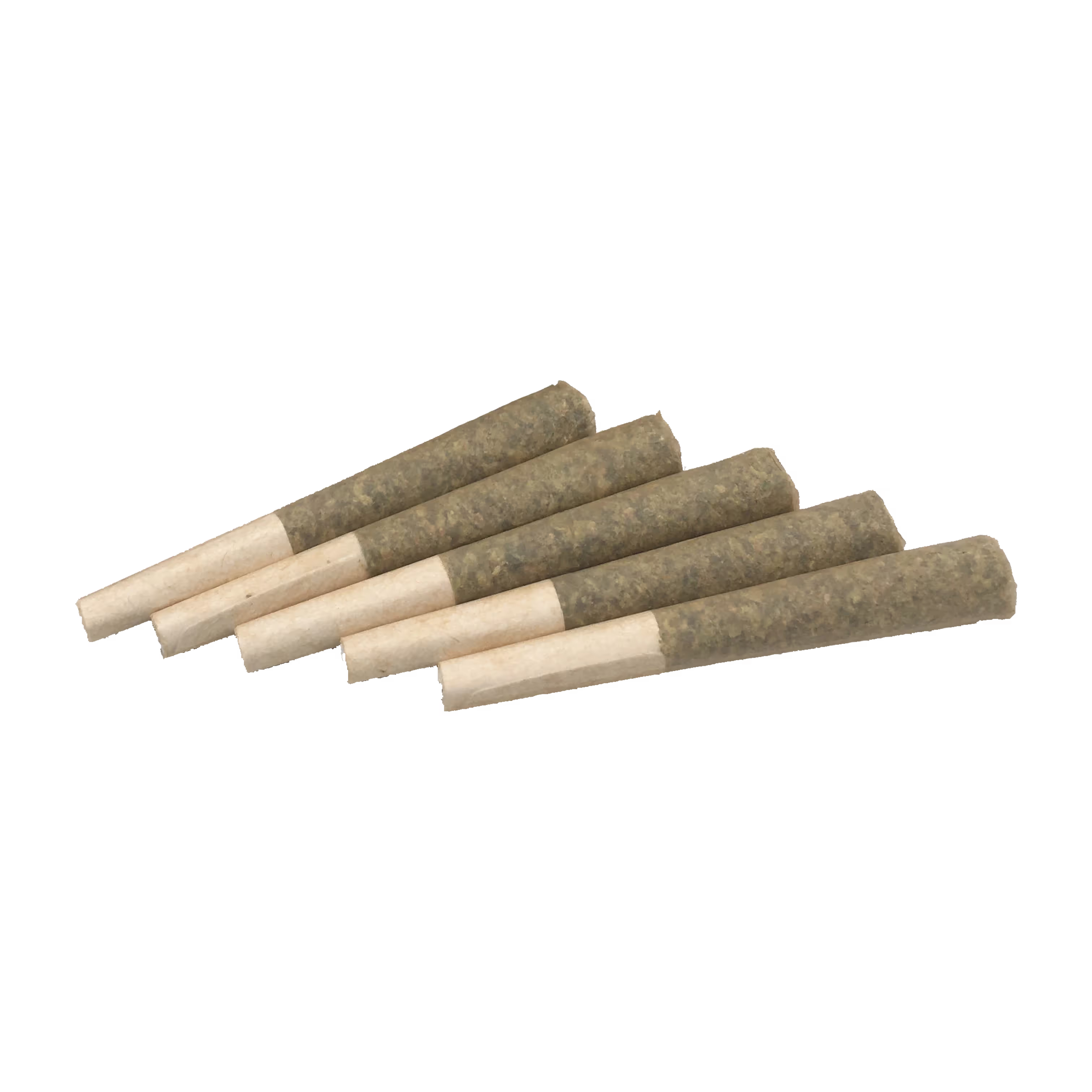 Apple Fritter | 5pk | 0.5g