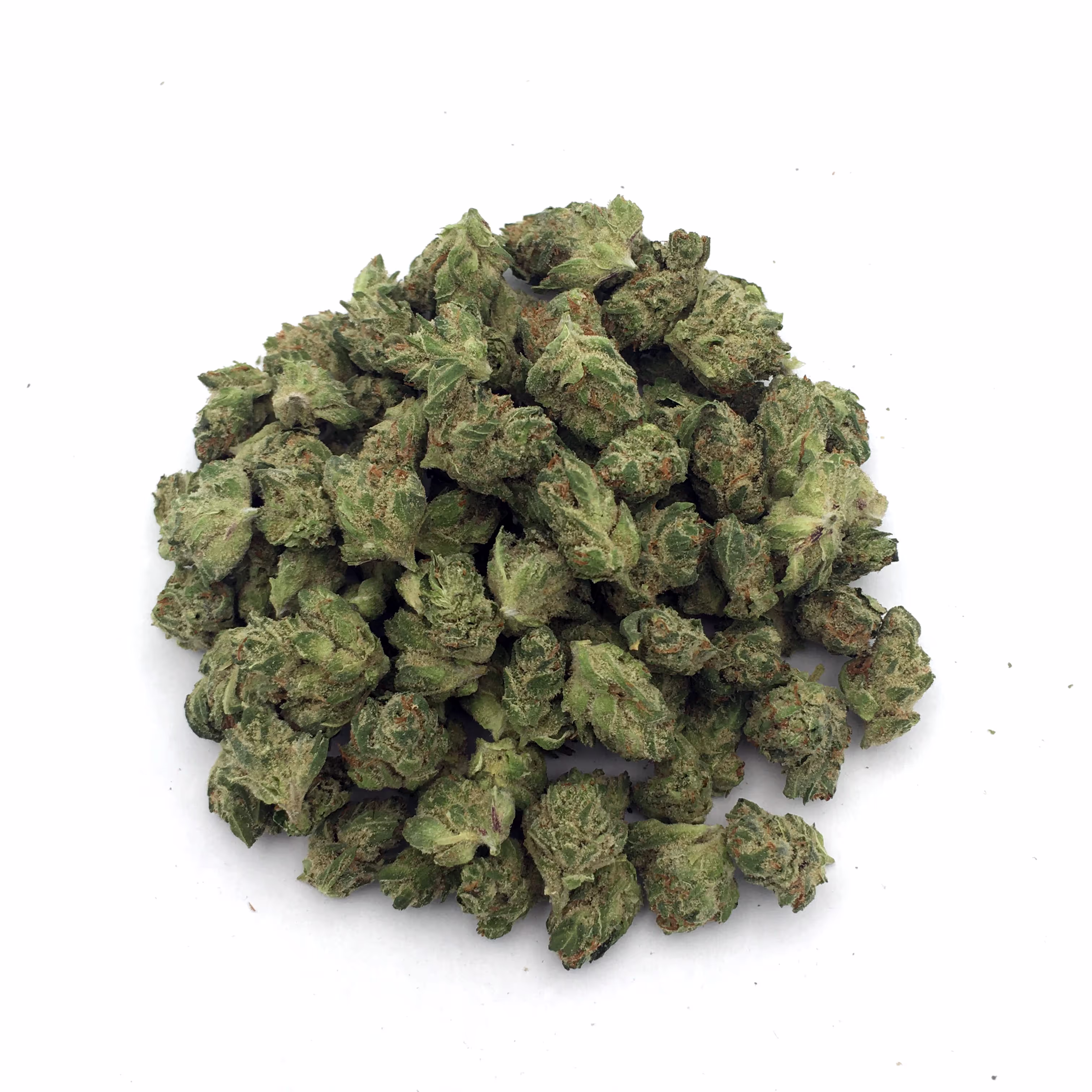 Slippery Susan | Mini-Bud | 1/4 oz.