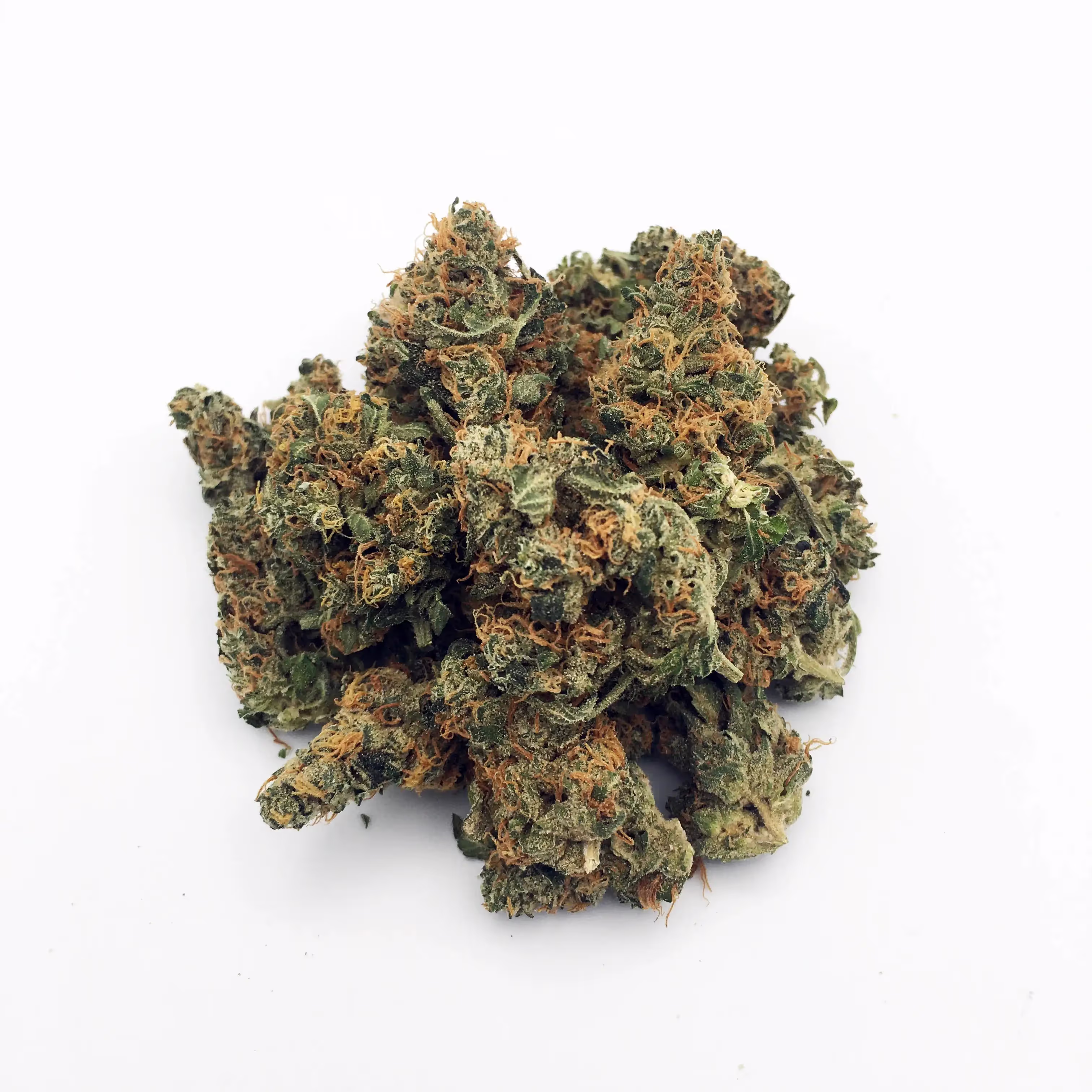 GMO | Mini-Buds | 1/4 oz.