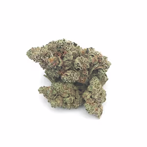Deluxe Sugar Cane | 1/8 oz.