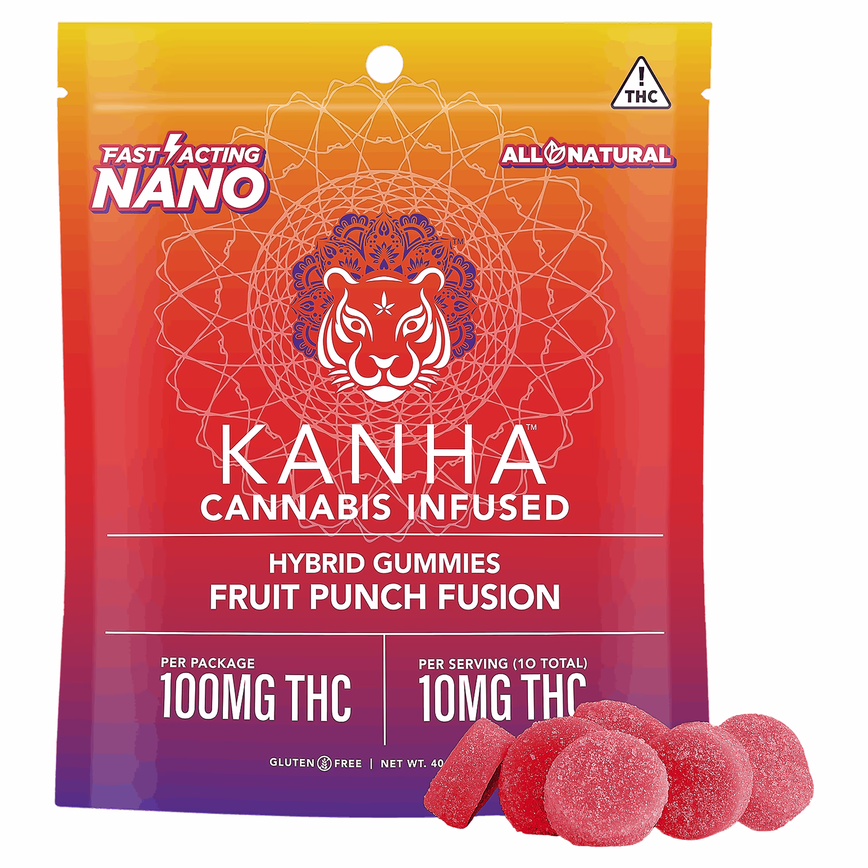 Fruit Punch Fusion Hybrid Nano | 20pk