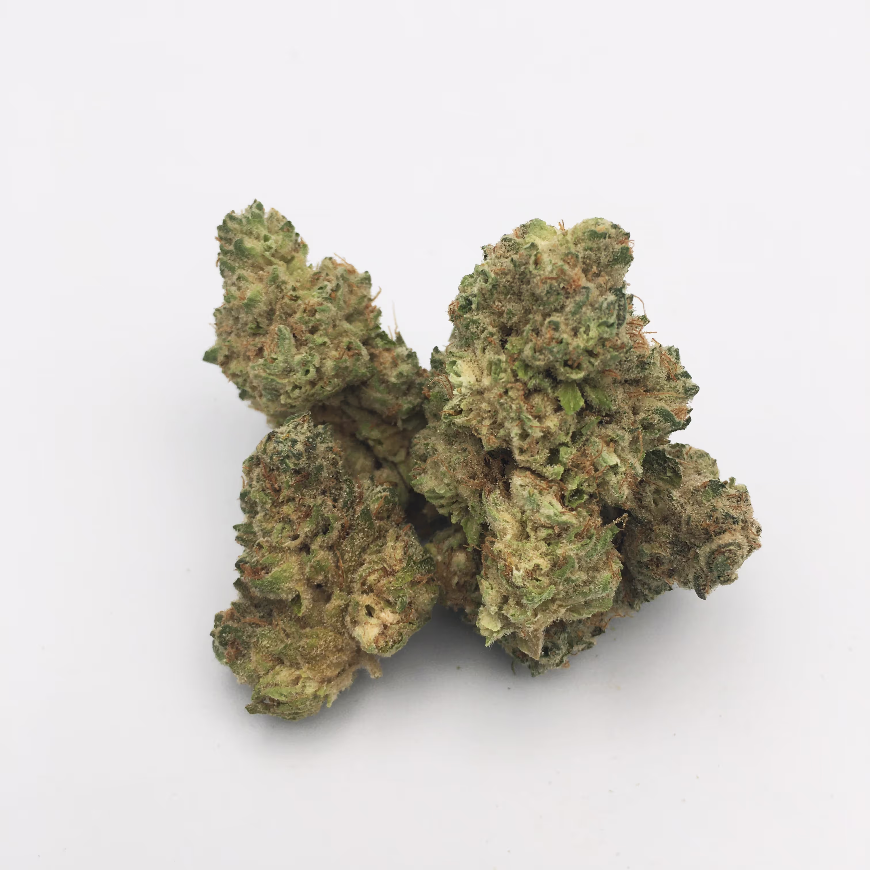 Platinum Garlic x Platinum Kush Mints #1 | 1/8 oz.