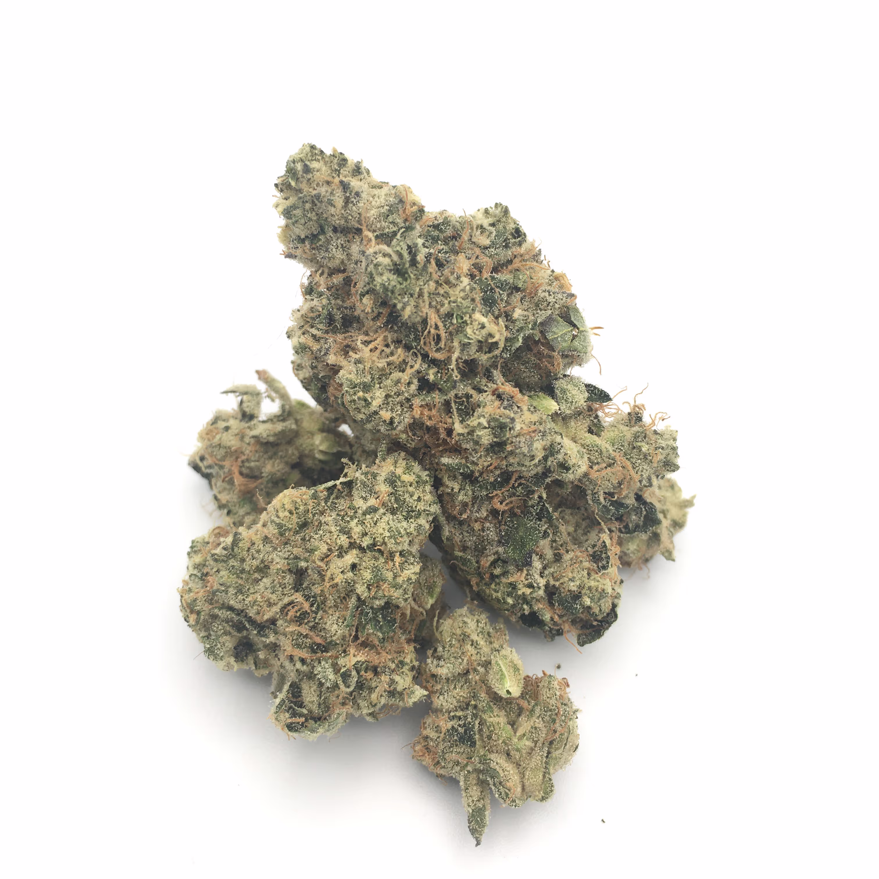 Root and Bloom Wedding Cake | 1/8 oz.