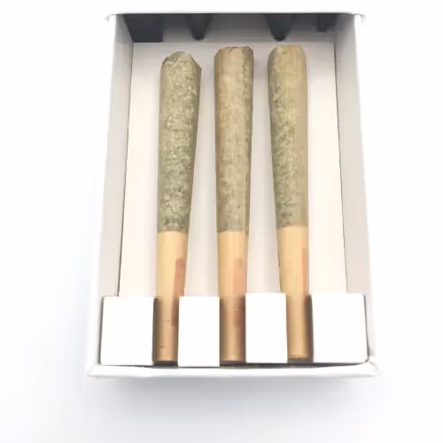 Train Wreck | 3pk | 0.5g