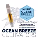 Blue Raspberry Truffle | Cartridge | 0.5g