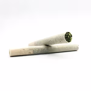 Caramel Haze | 2pk | 0.5g
