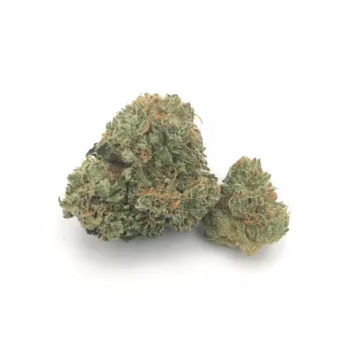 Star Struck | Bud | 1g