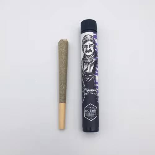 The New | 1g