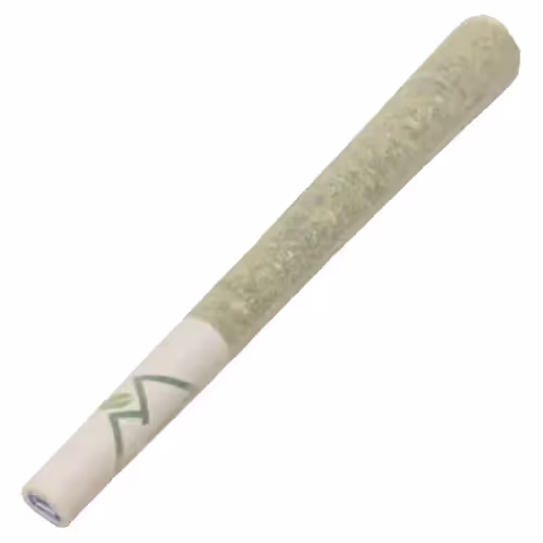 Snowdog | Infused | 1g