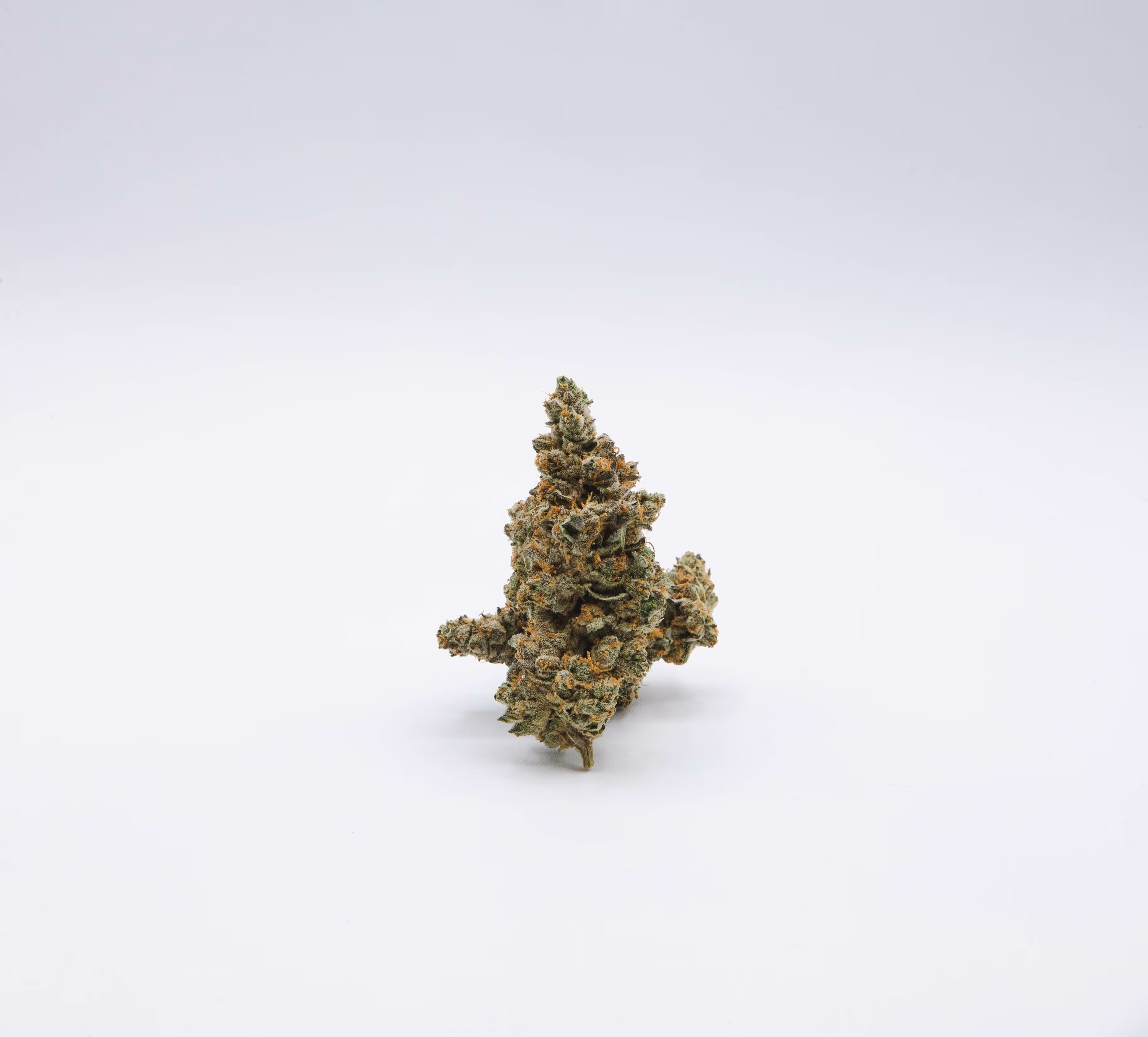 Secret Cookies | 1/8 oz. | Harbor House