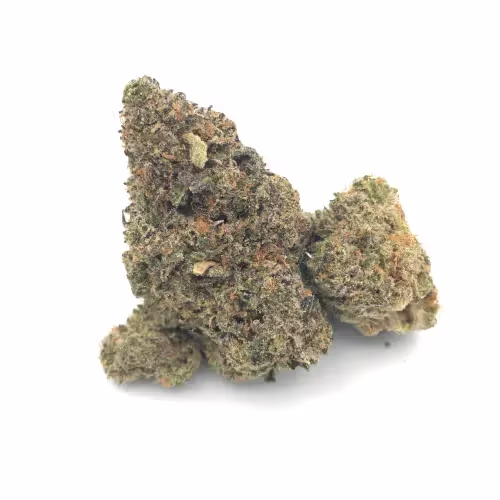 Apple Fritter | 1/8 oz. | Fresh Connection