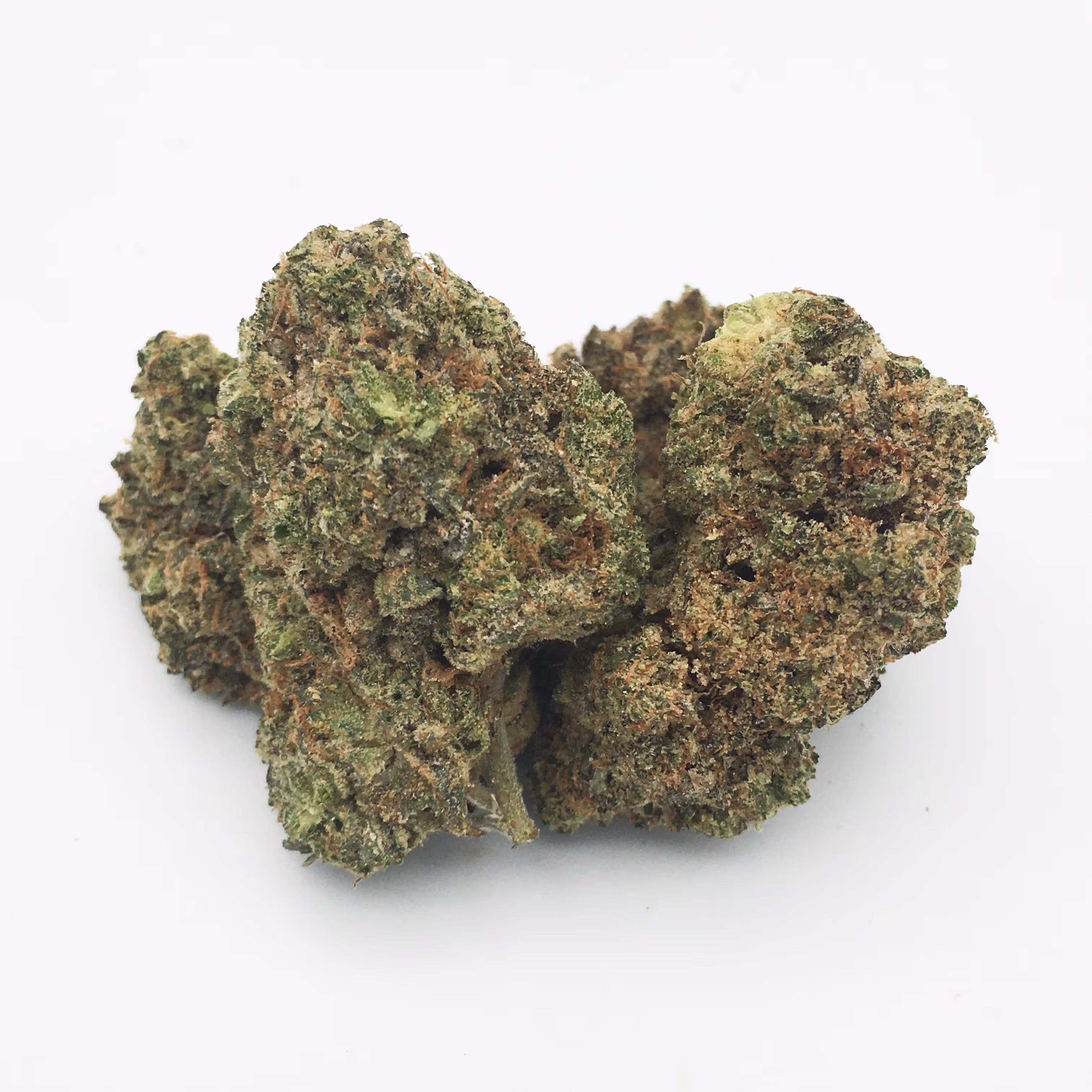 Cookie Dog | 1/8 oz.