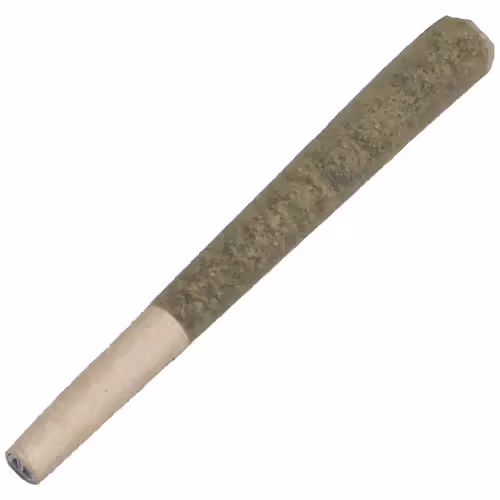 Cookie Dog | 1g