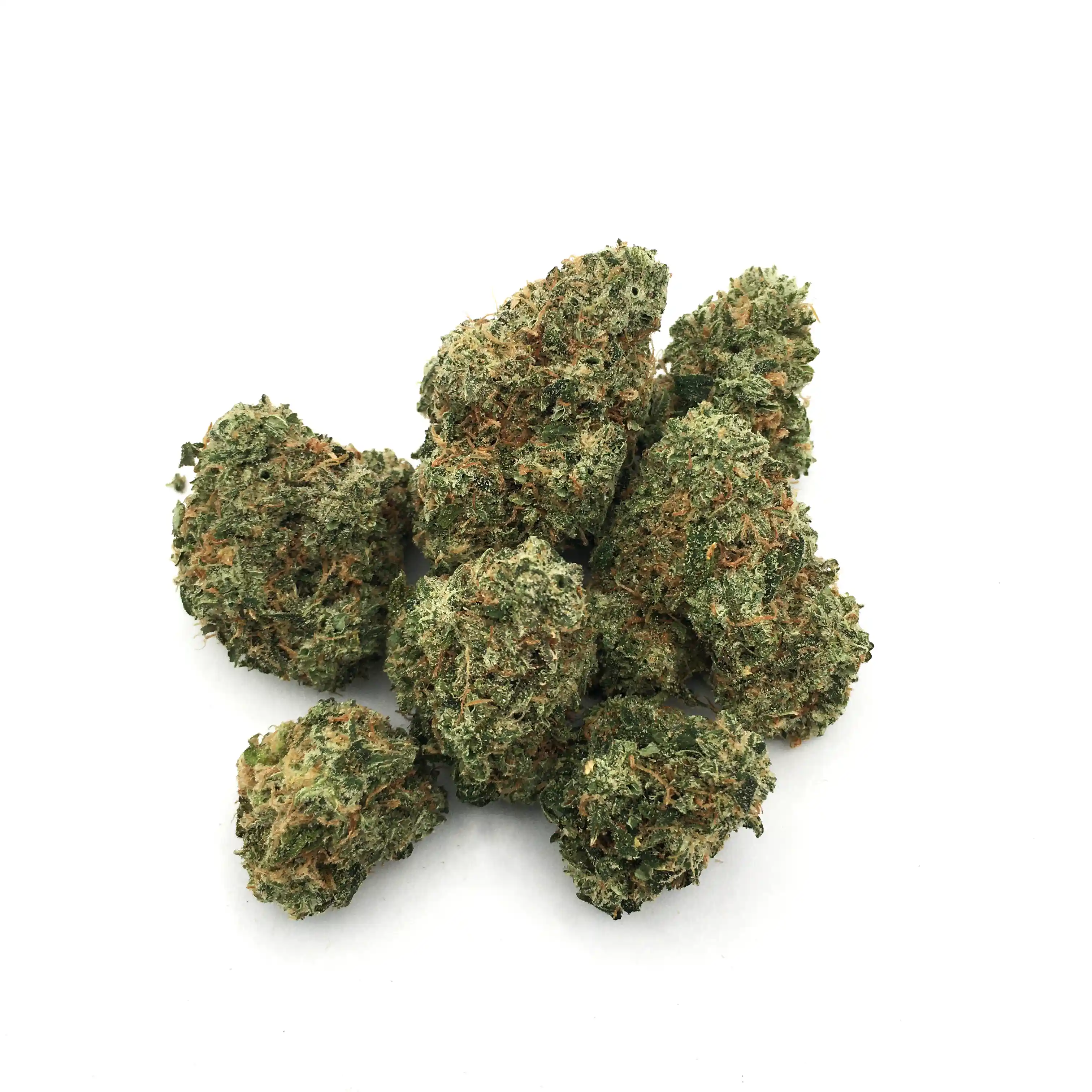 J1 Hash Plant | 1/8 oz.