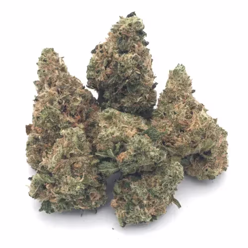 Wonka Bars | 1/8 oz.