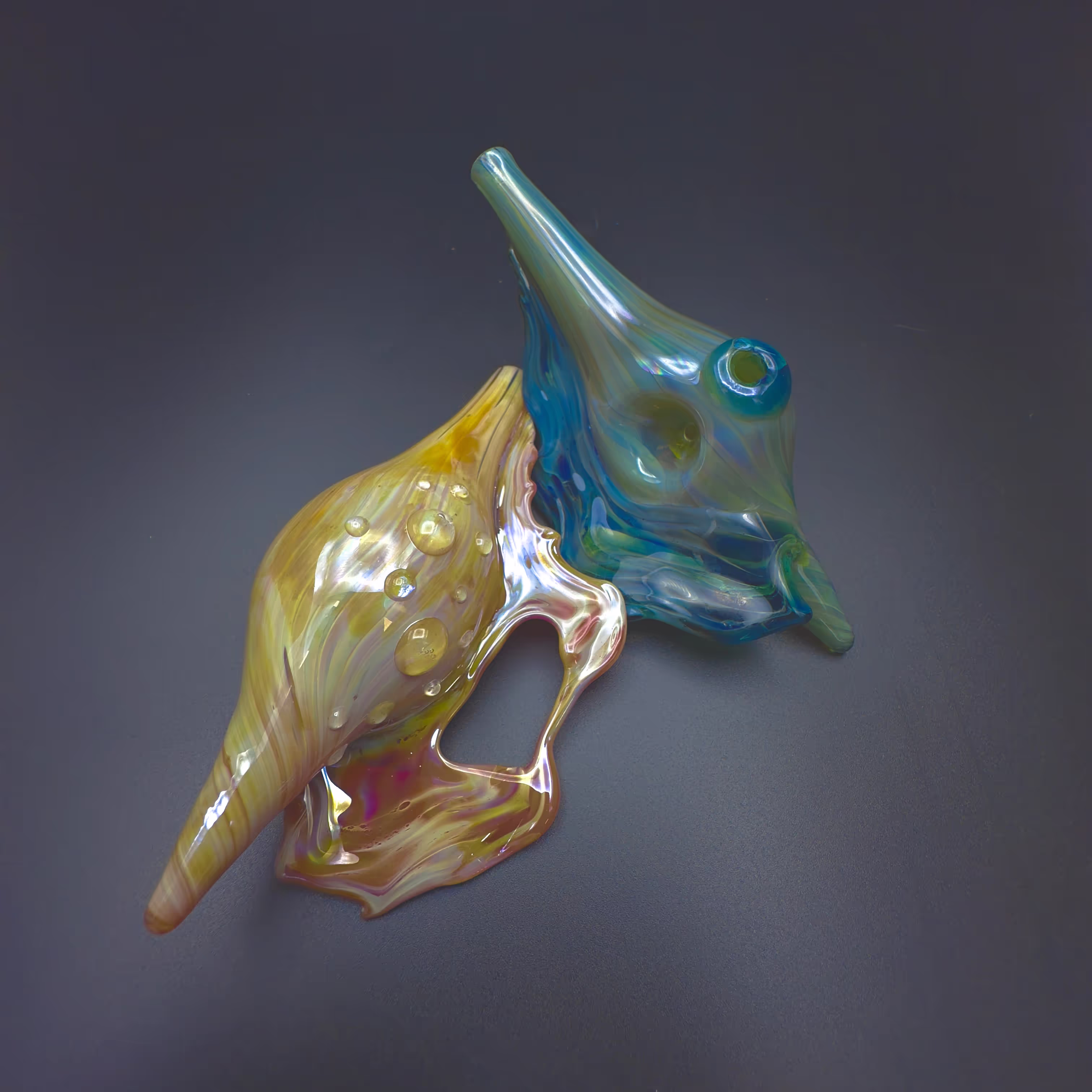 Seashell Pipe | Christina Cody