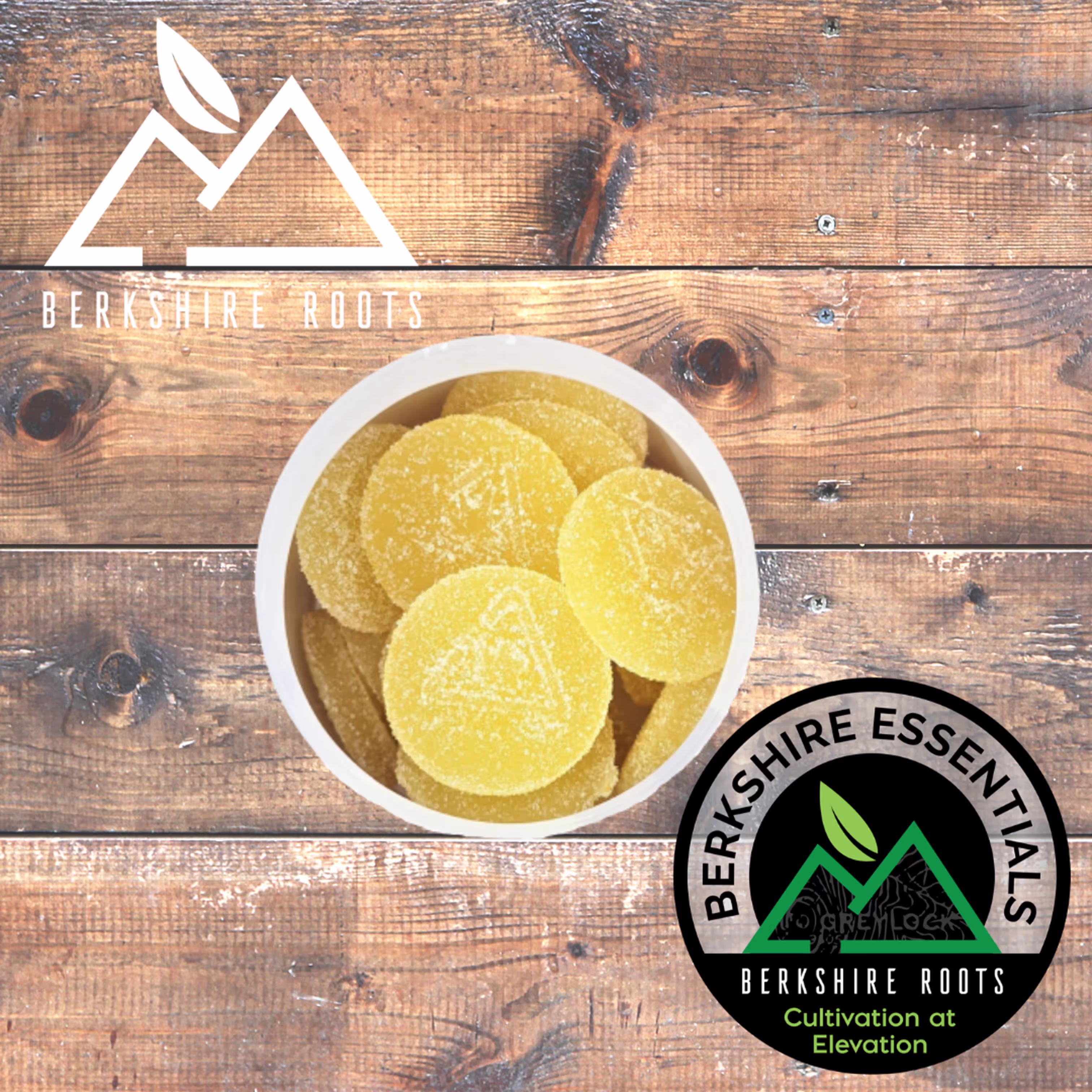 Lemon Ginger | 1:1 CBD | 20pk