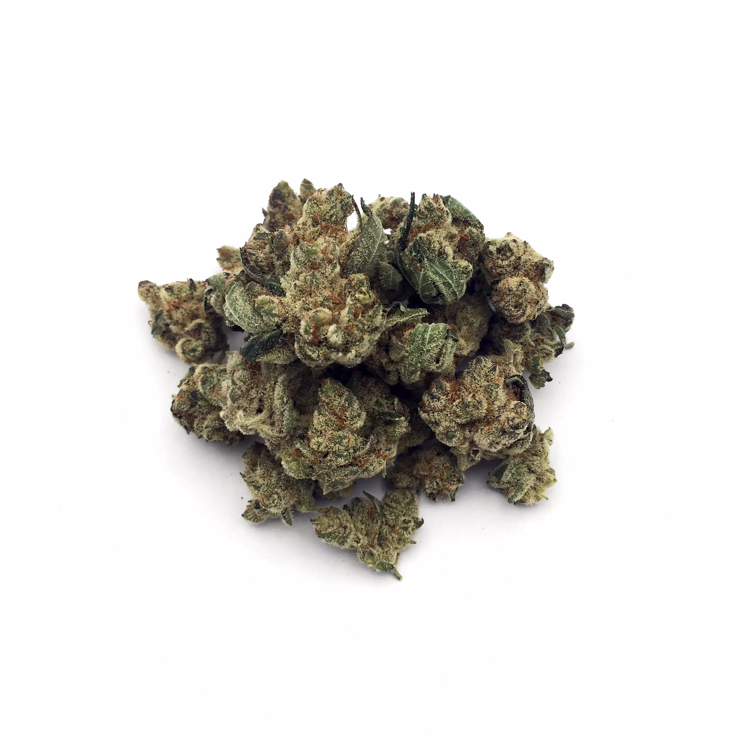 Gary Poppins | Mini-Buds | 1/4 oz.