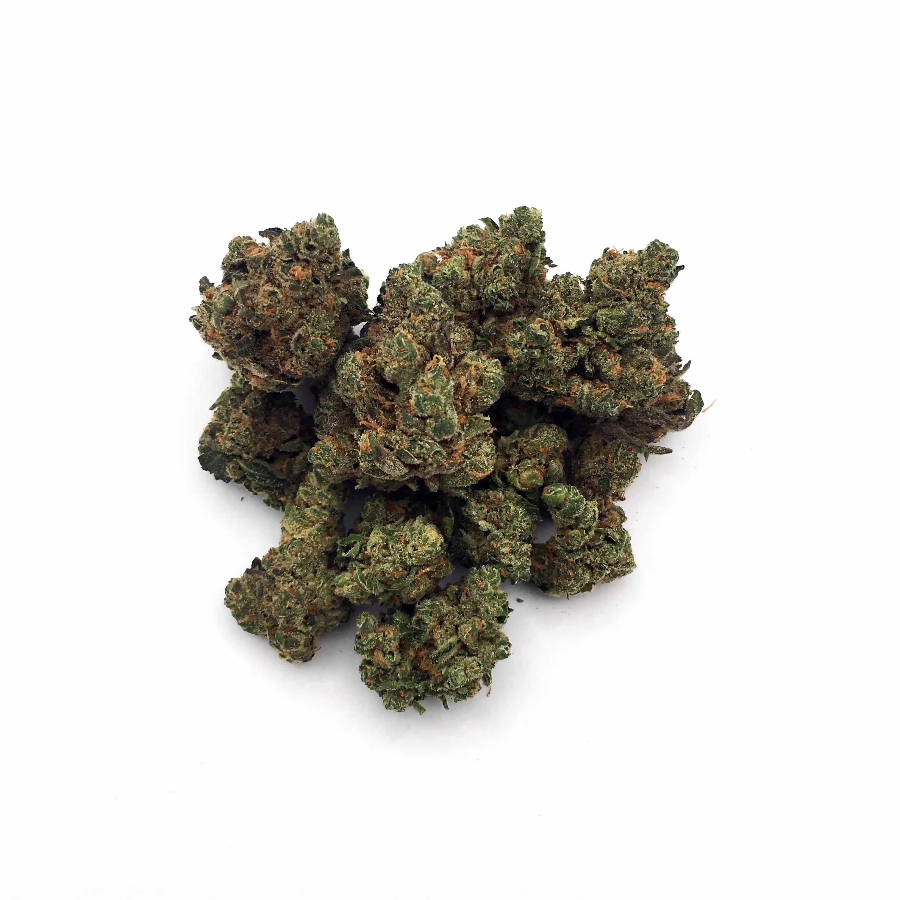 Coconut Milk | Mini-Buds | 1/4 oz.
