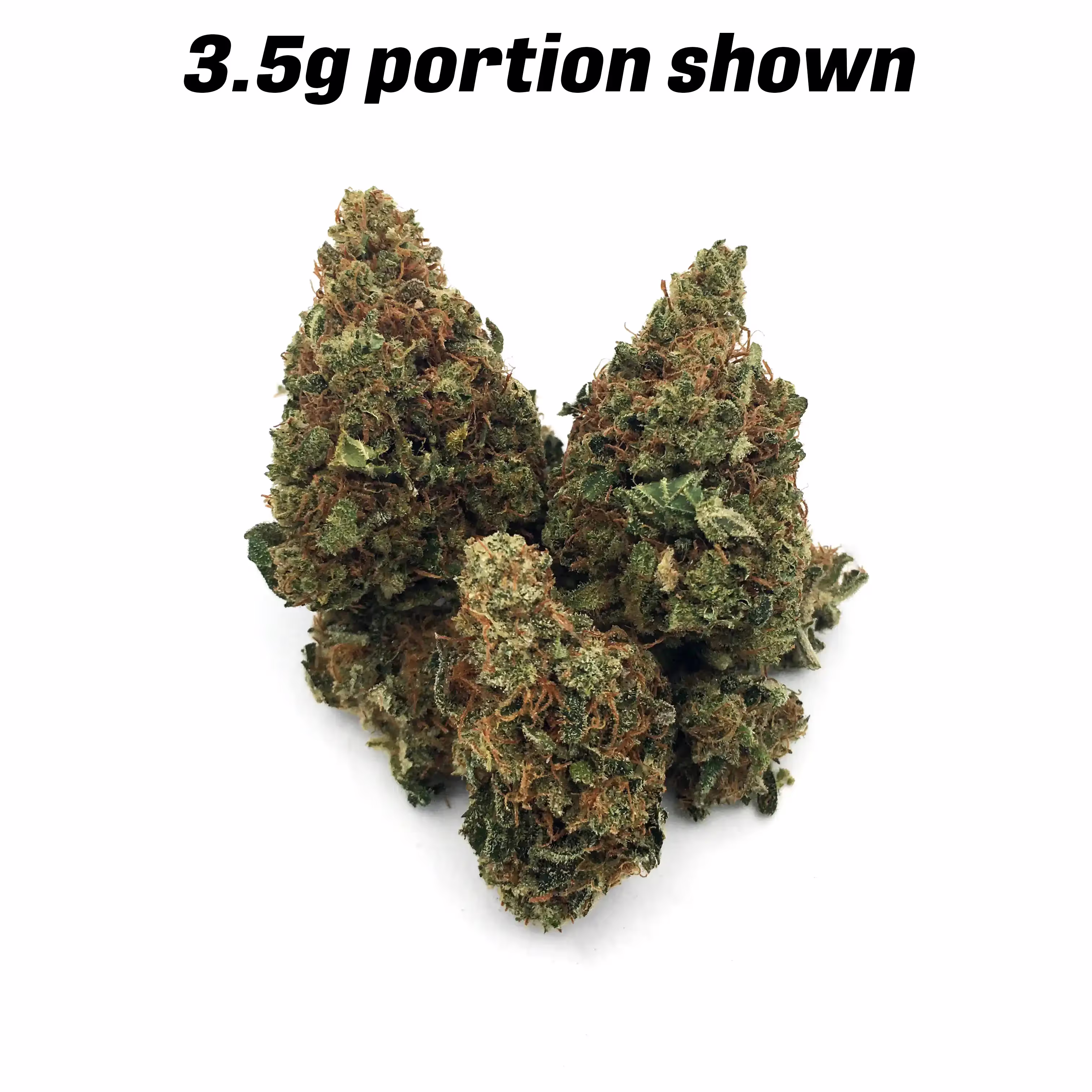 Jack Herer x Super Bud | Bud | 1g