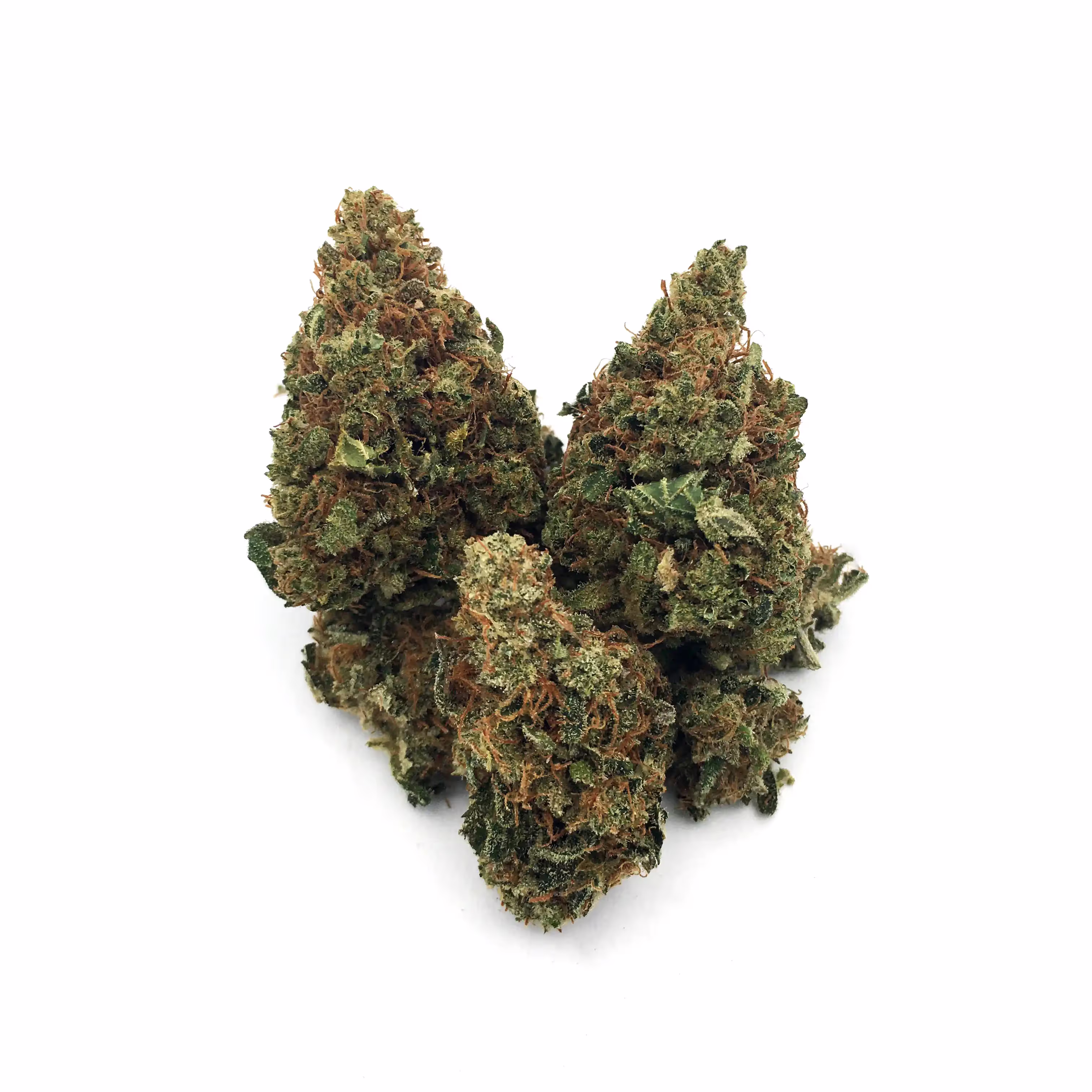 Jack Herer x Super Bud | 1/8 oz.