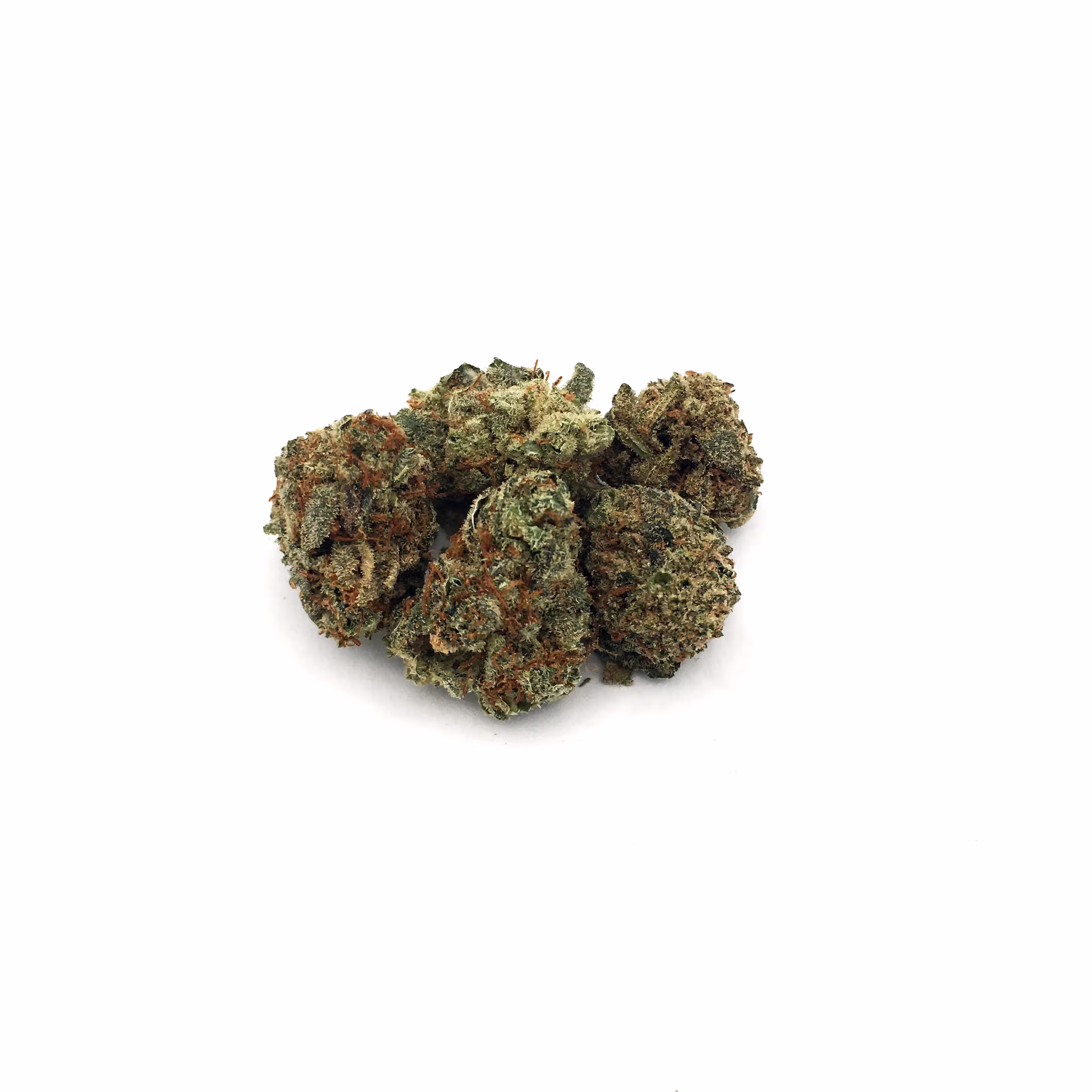 Dragons Blood | Bud | 1g