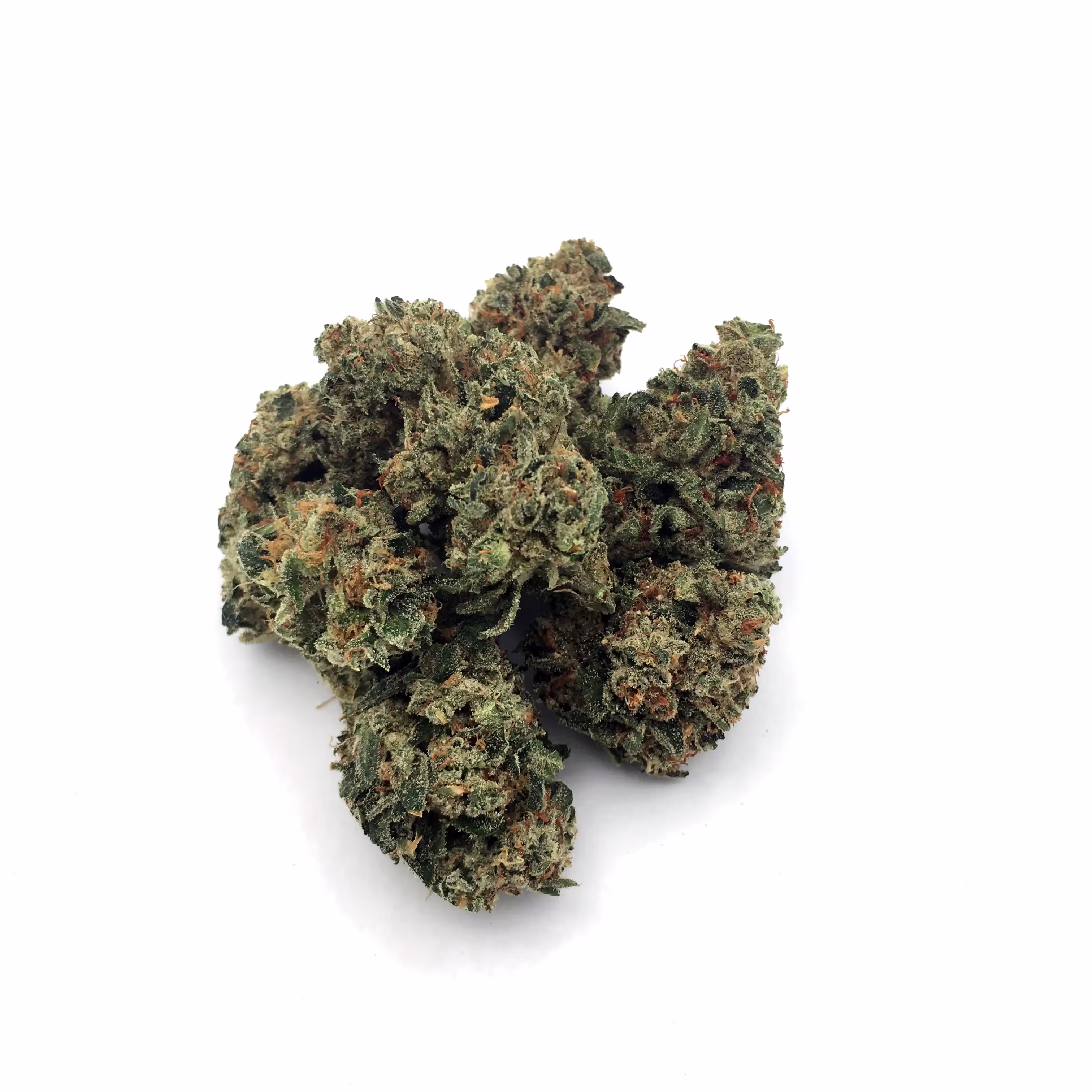 Banana TK | Mini-Buds | 1/4 oz.