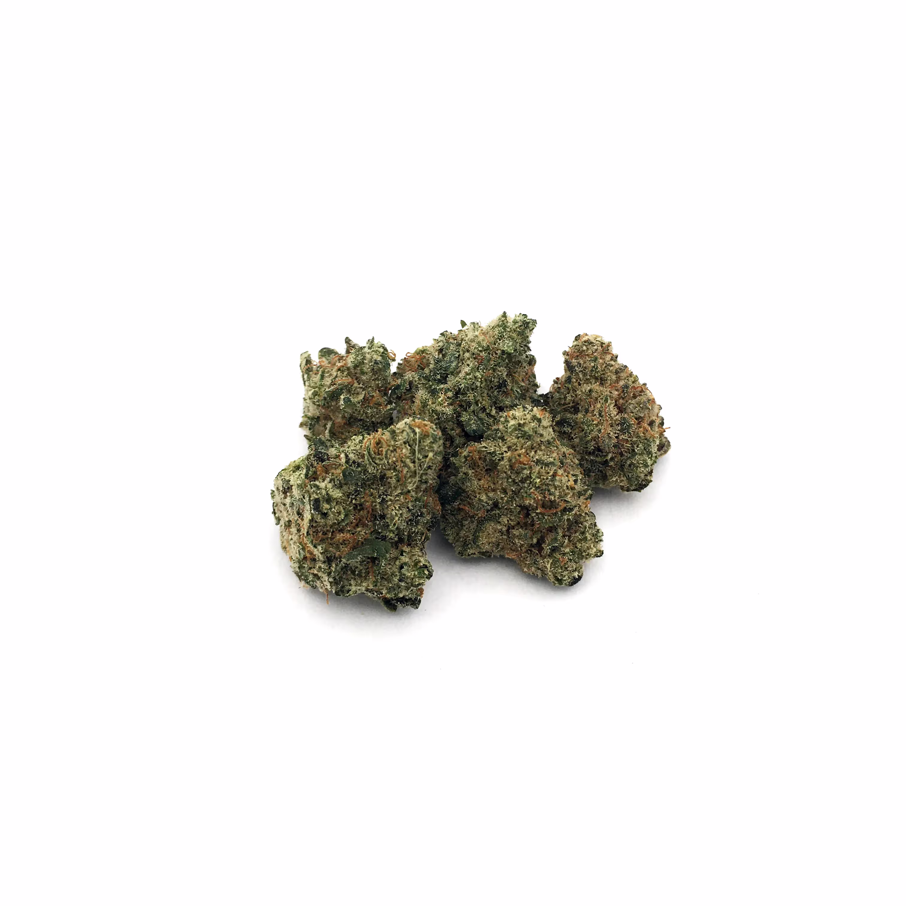 Strawberry Hash Plant | Bud | 1g