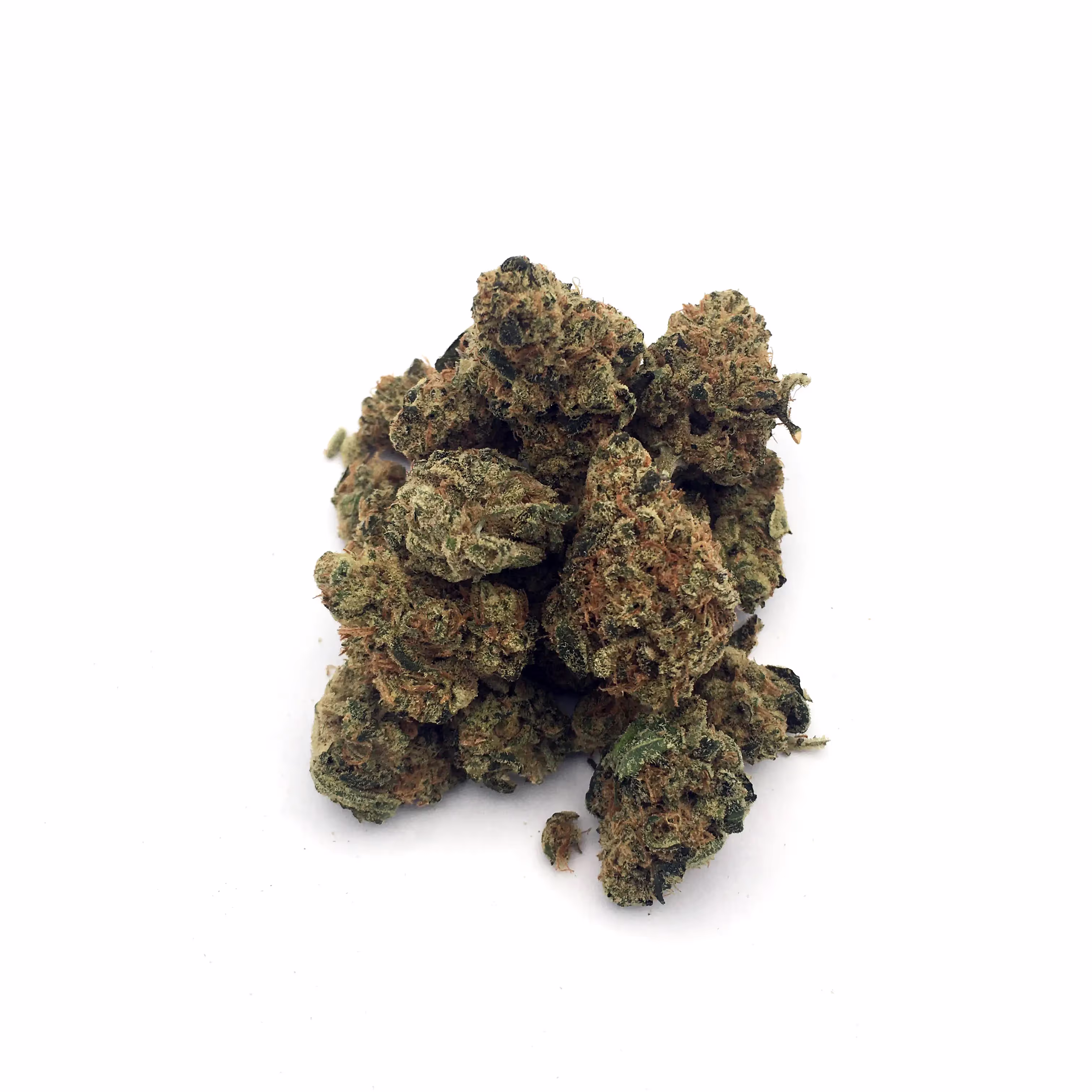 Mango Haze | Mini-Buds | 1/4 oz.
