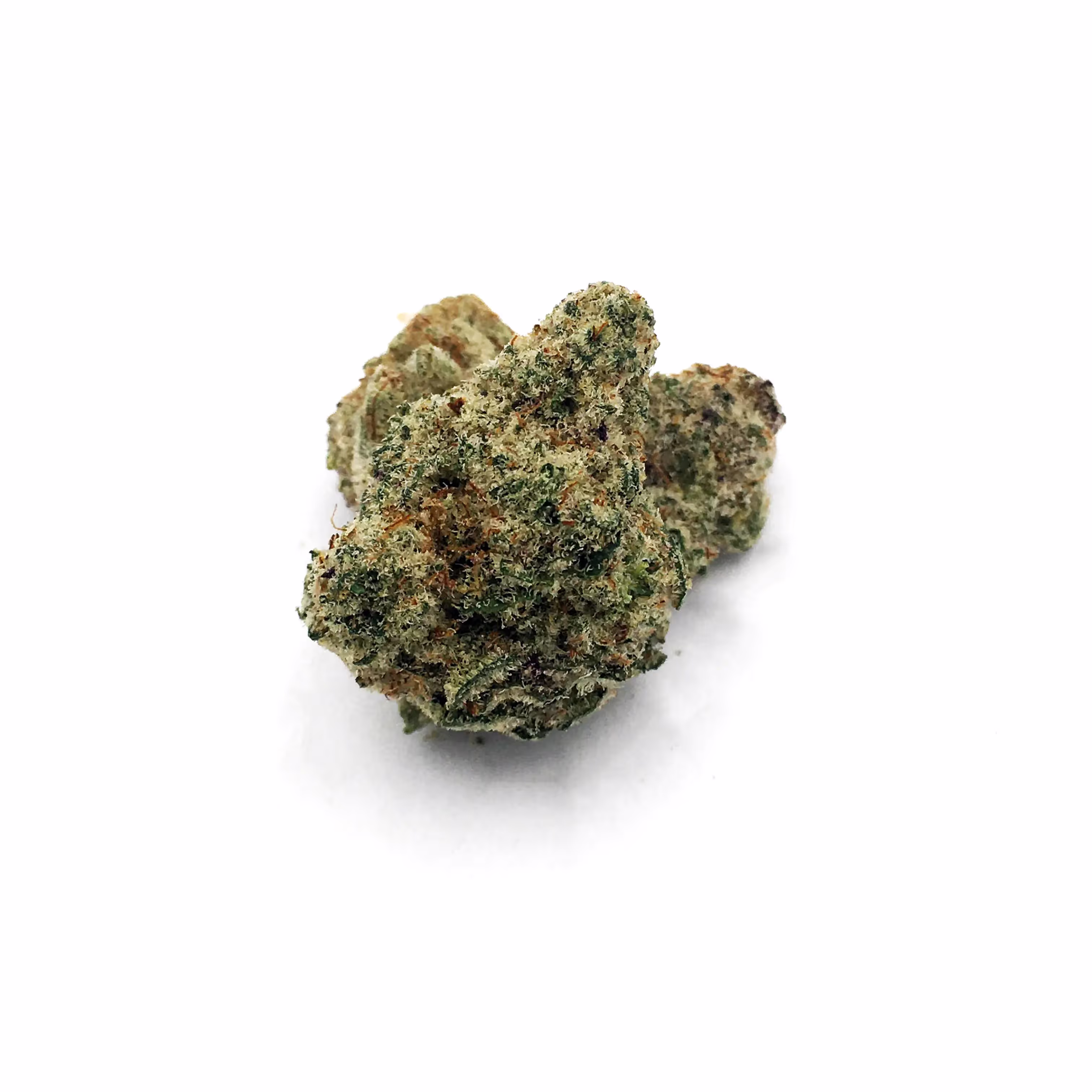 MAC 31 | Bud | 1g