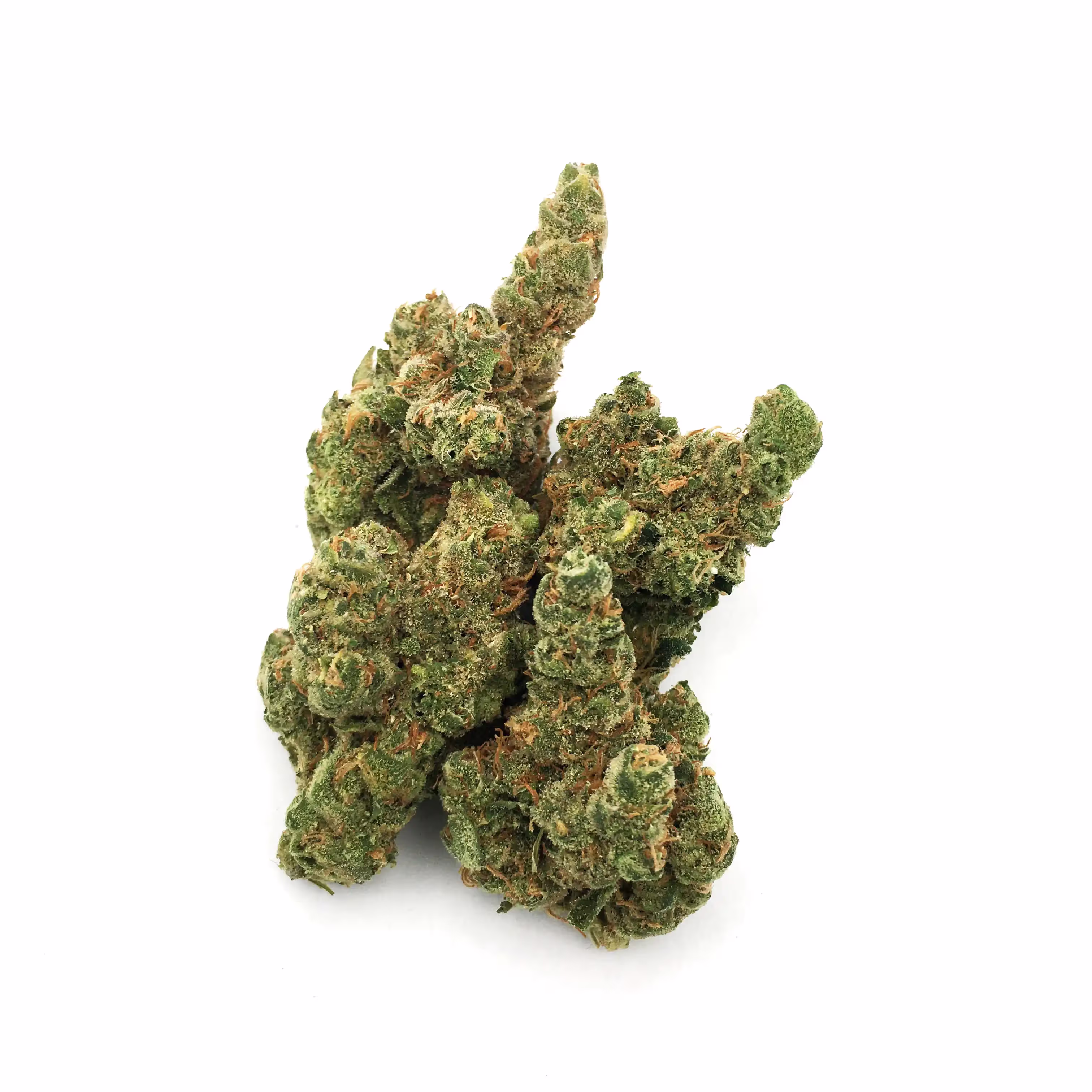 Apollo 13 | 1/8 oz.
