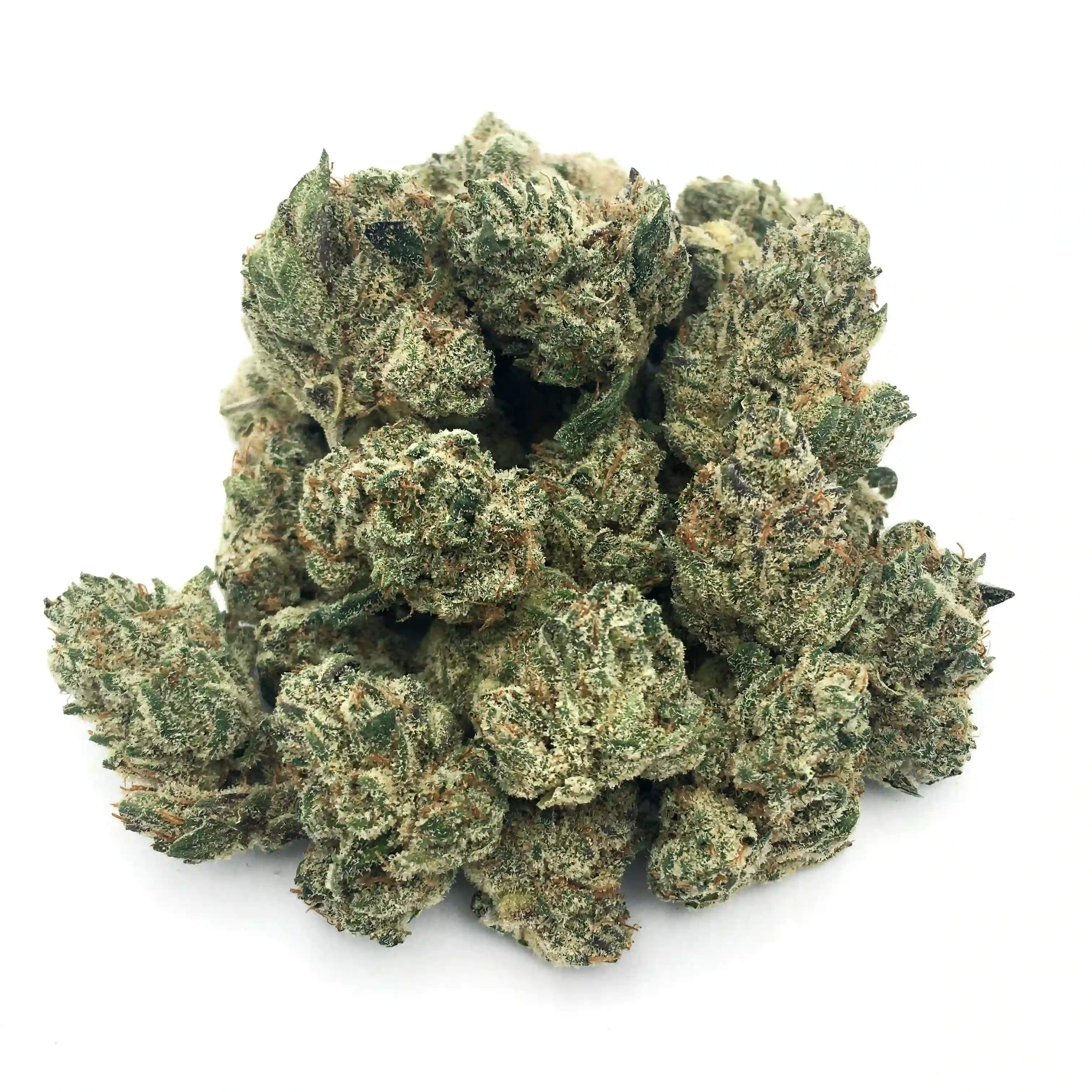 Runtz Your Face Off | Mini-Buds | 1/4 oz.