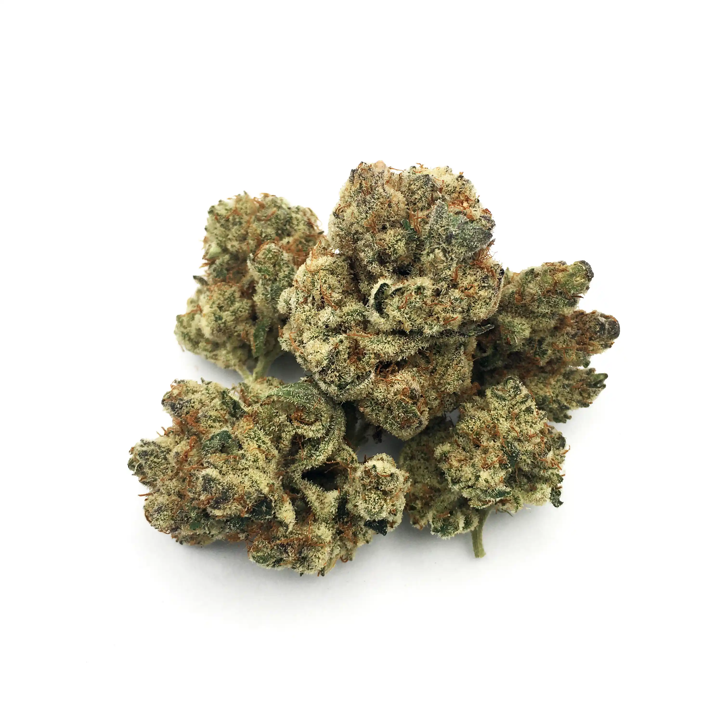 Gary Poppins | 1/8 oz.