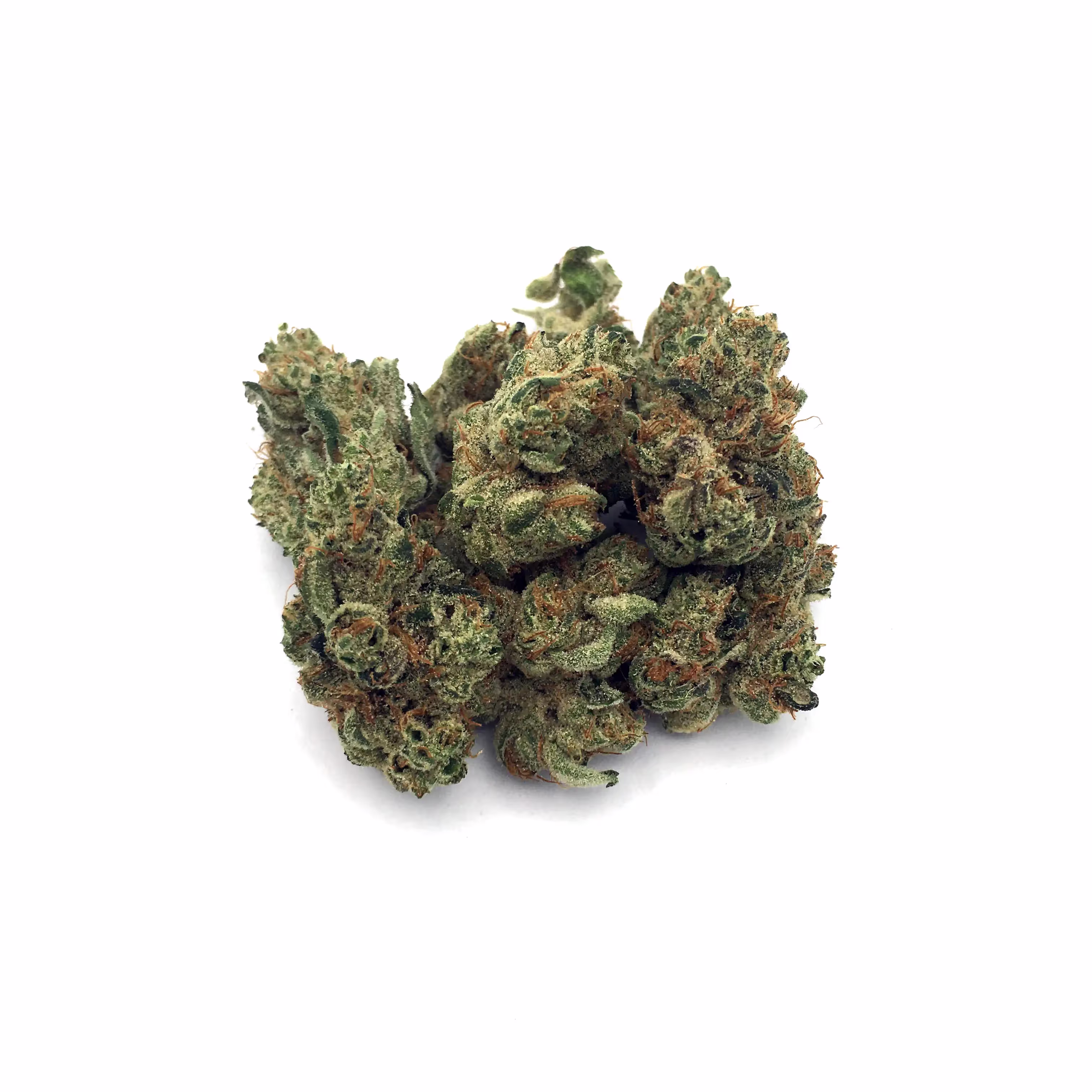 Dayglow | 1/8 oz.