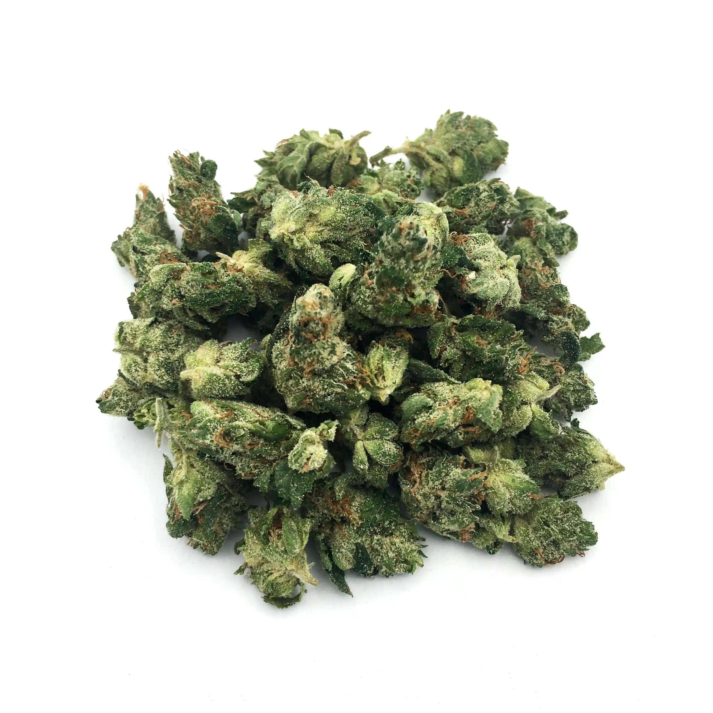 Shoki | Mini-Buds | 1/8 oz.