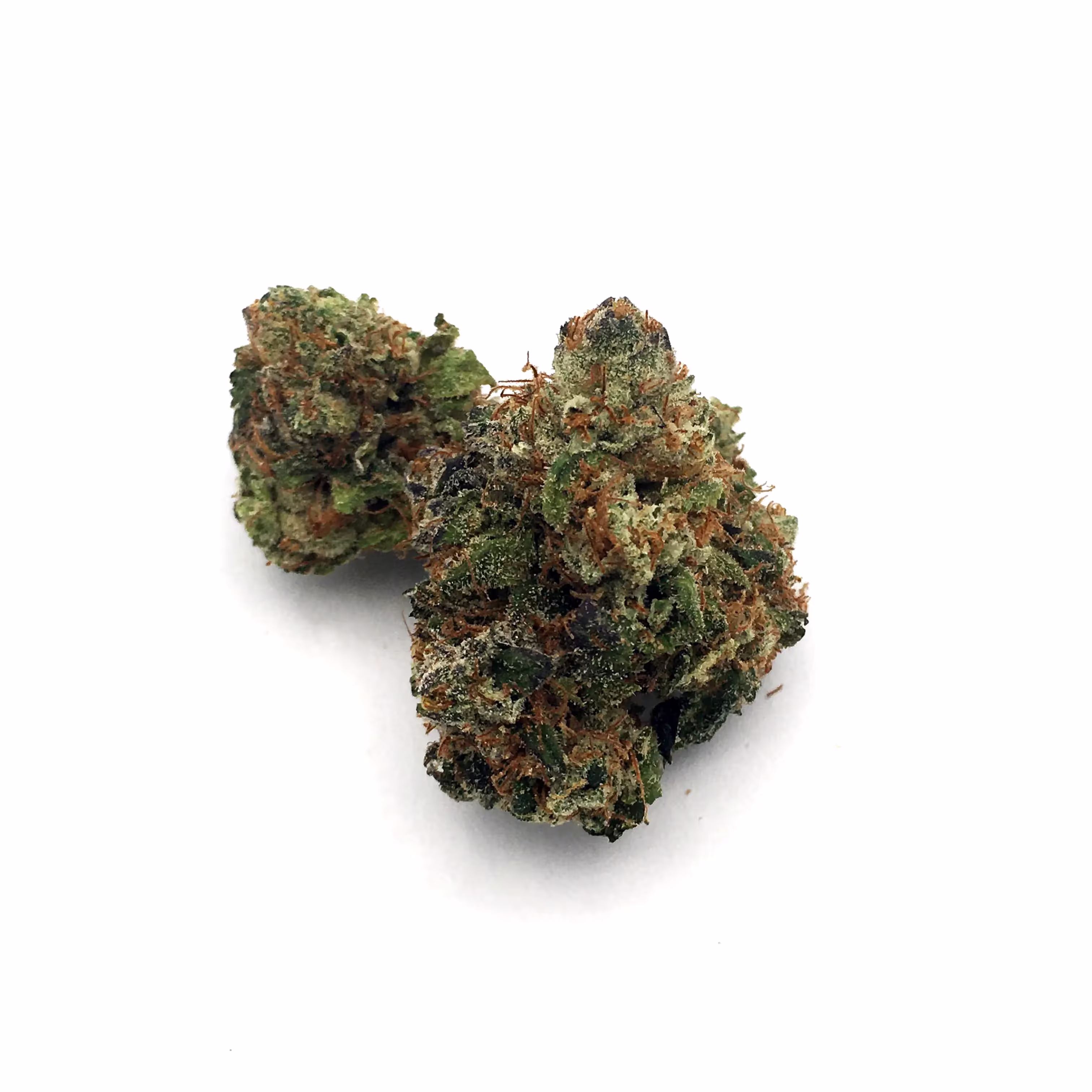 Trufflez | Bud | 1g