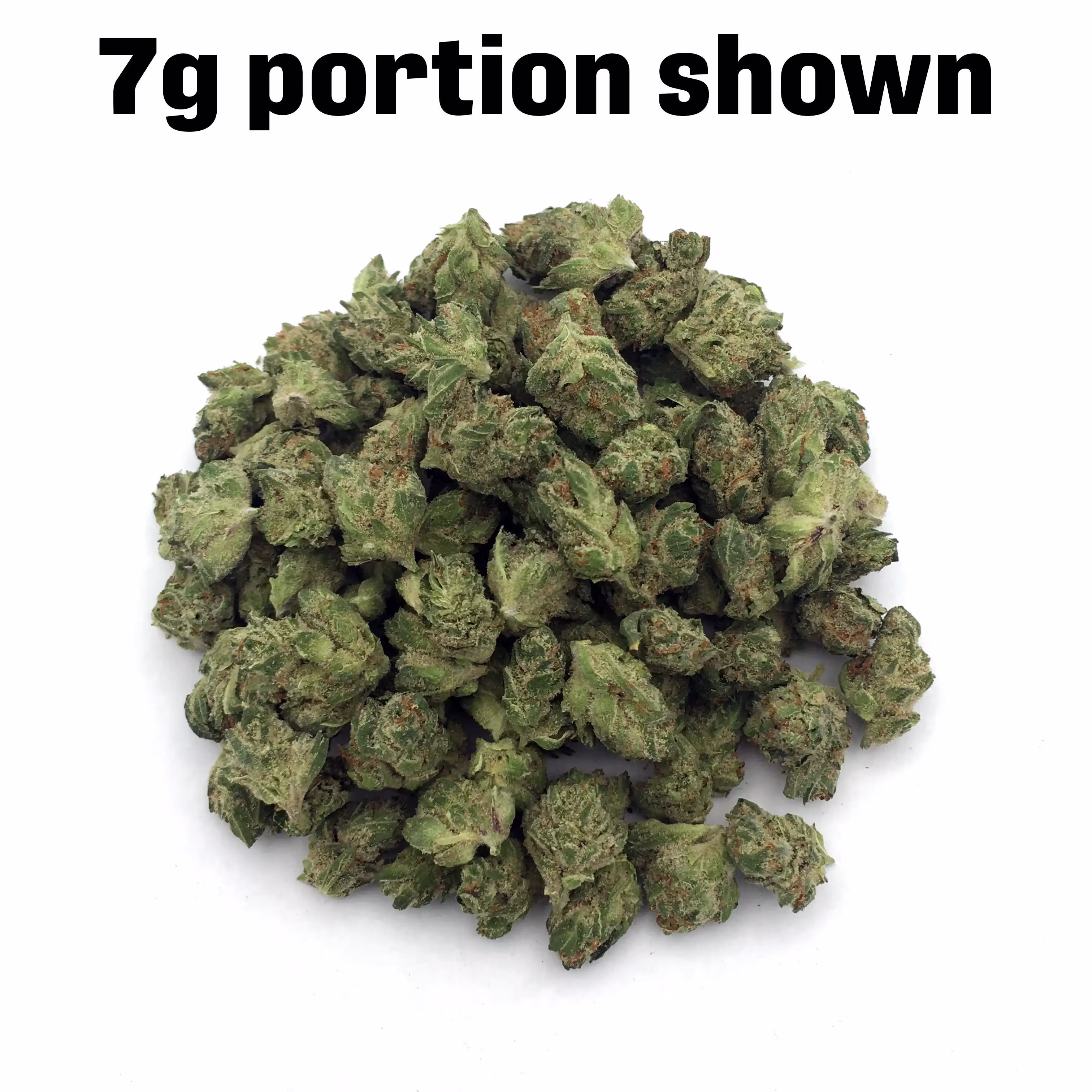 Slippery Susan | Mini-Buds | 1/8 oz.