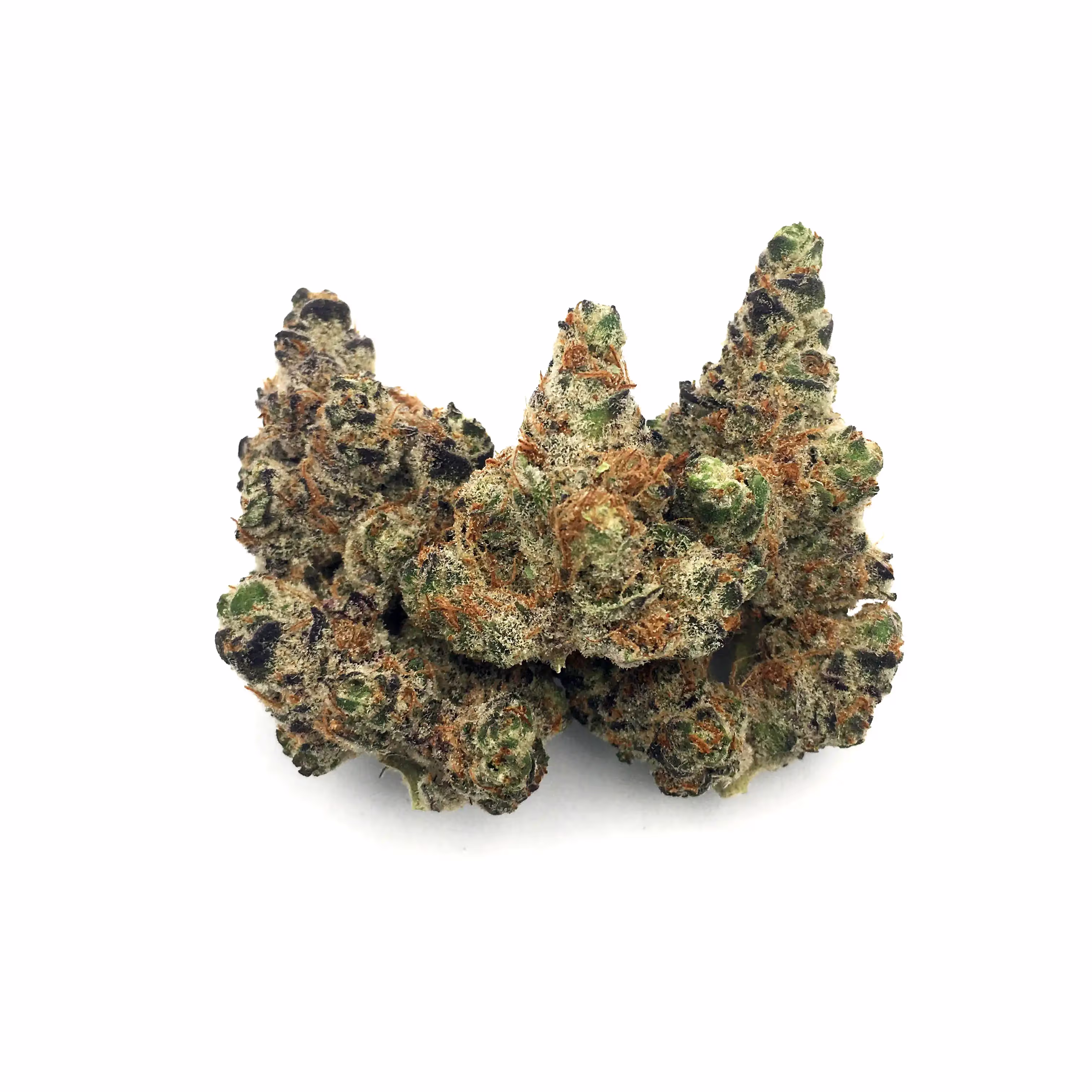 Garlic Breath | Farmer's Eighth 4g