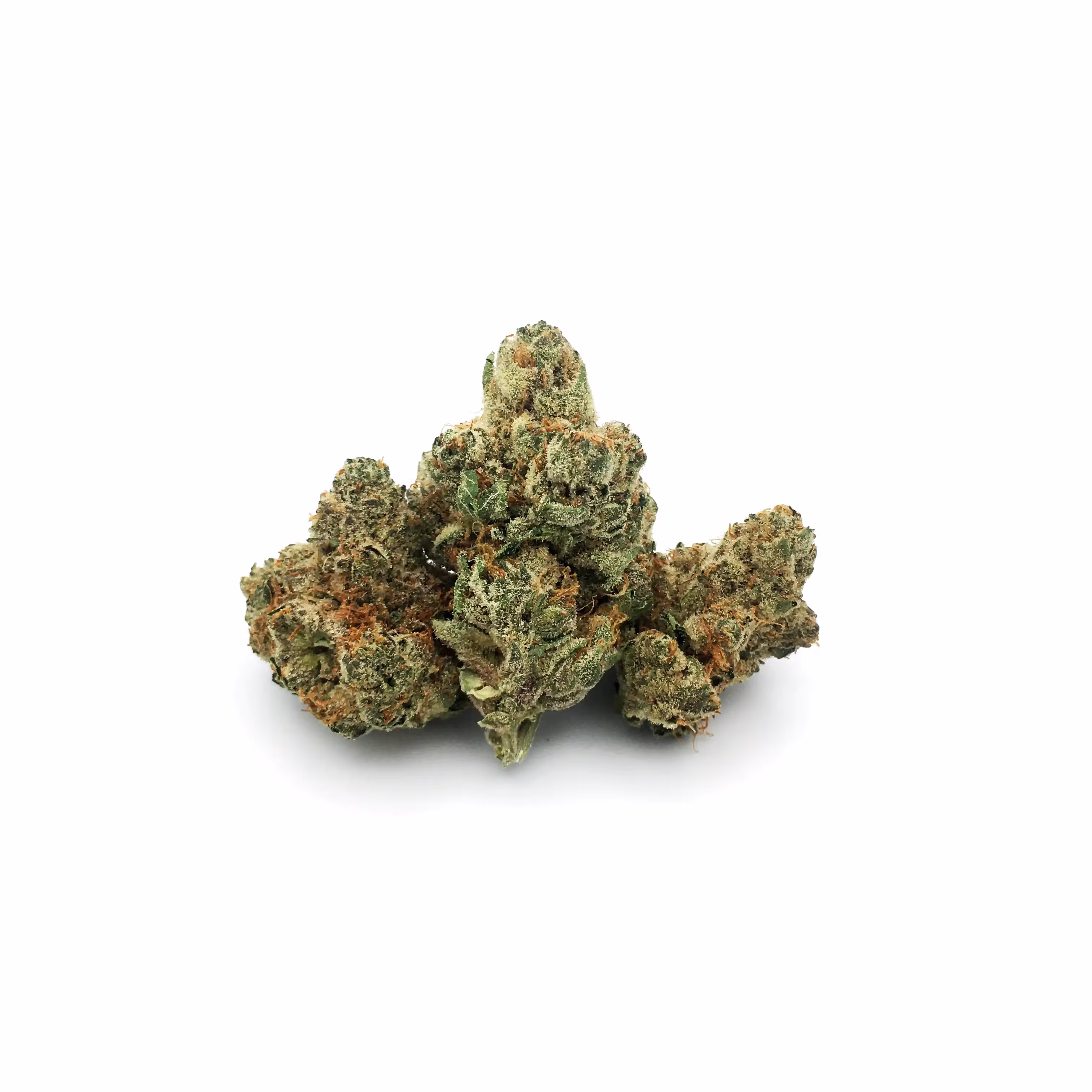 Gelato Punch | 1/8 oz.