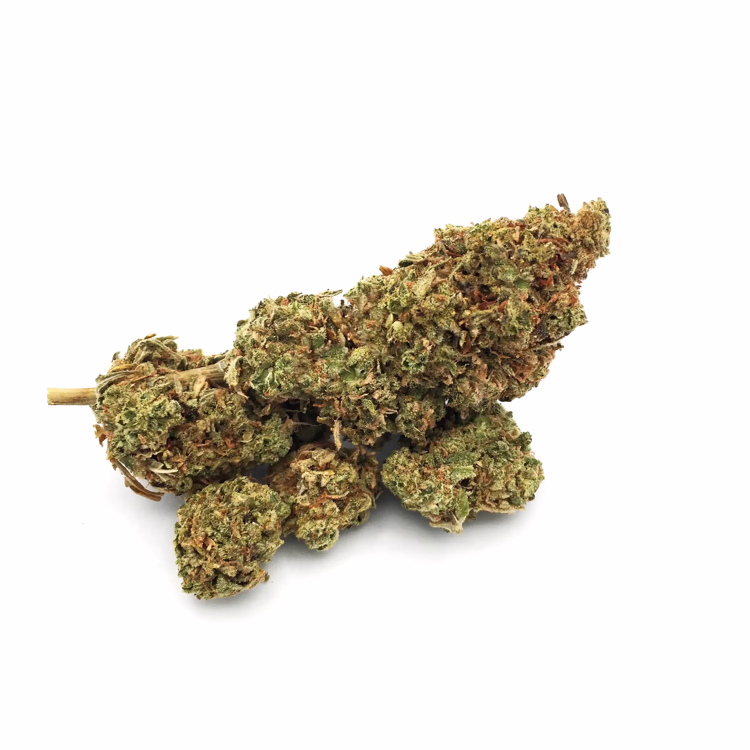 Trippy Gorilla | 1/8 oz.