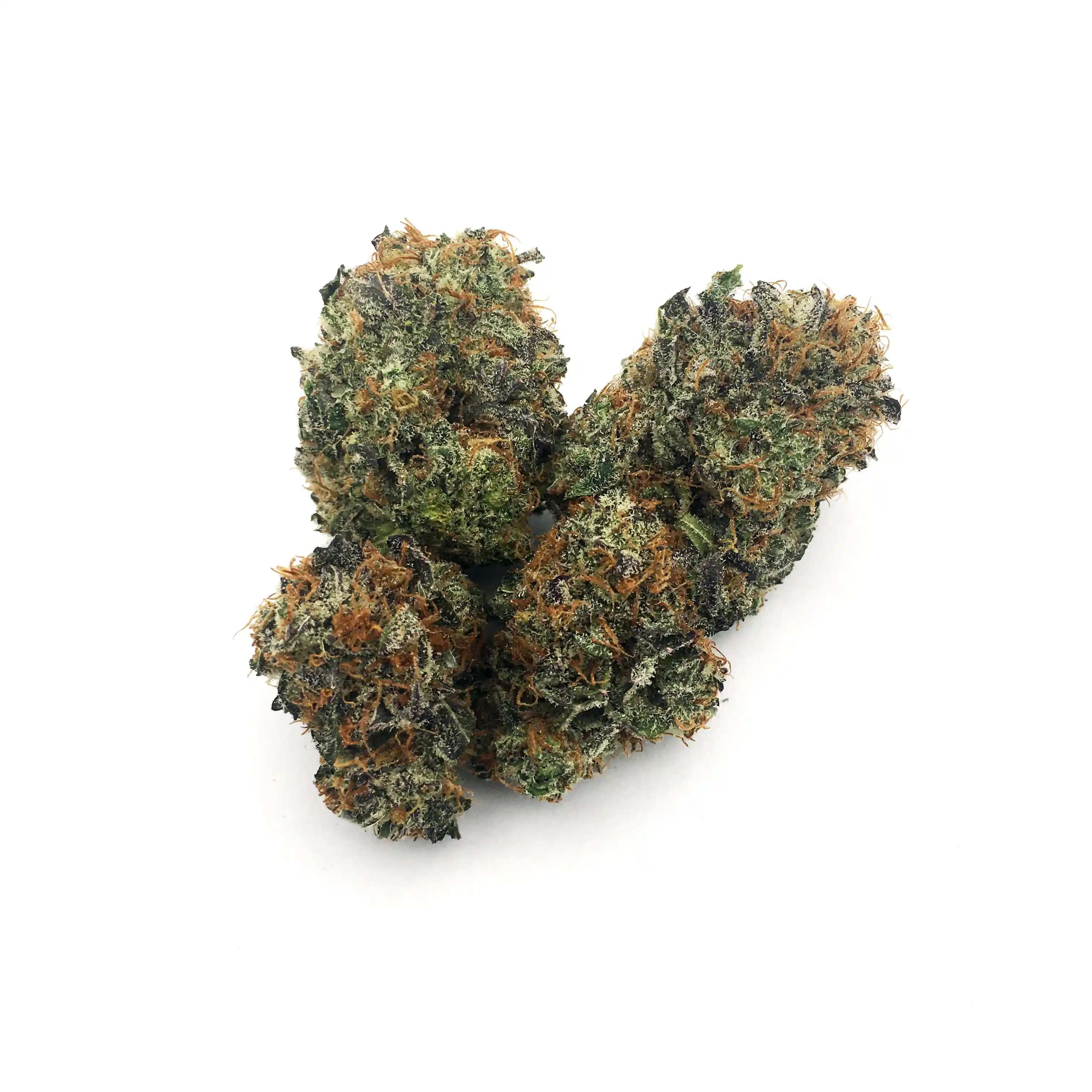 Blackberry Cookie Haze | 1/8 oz.