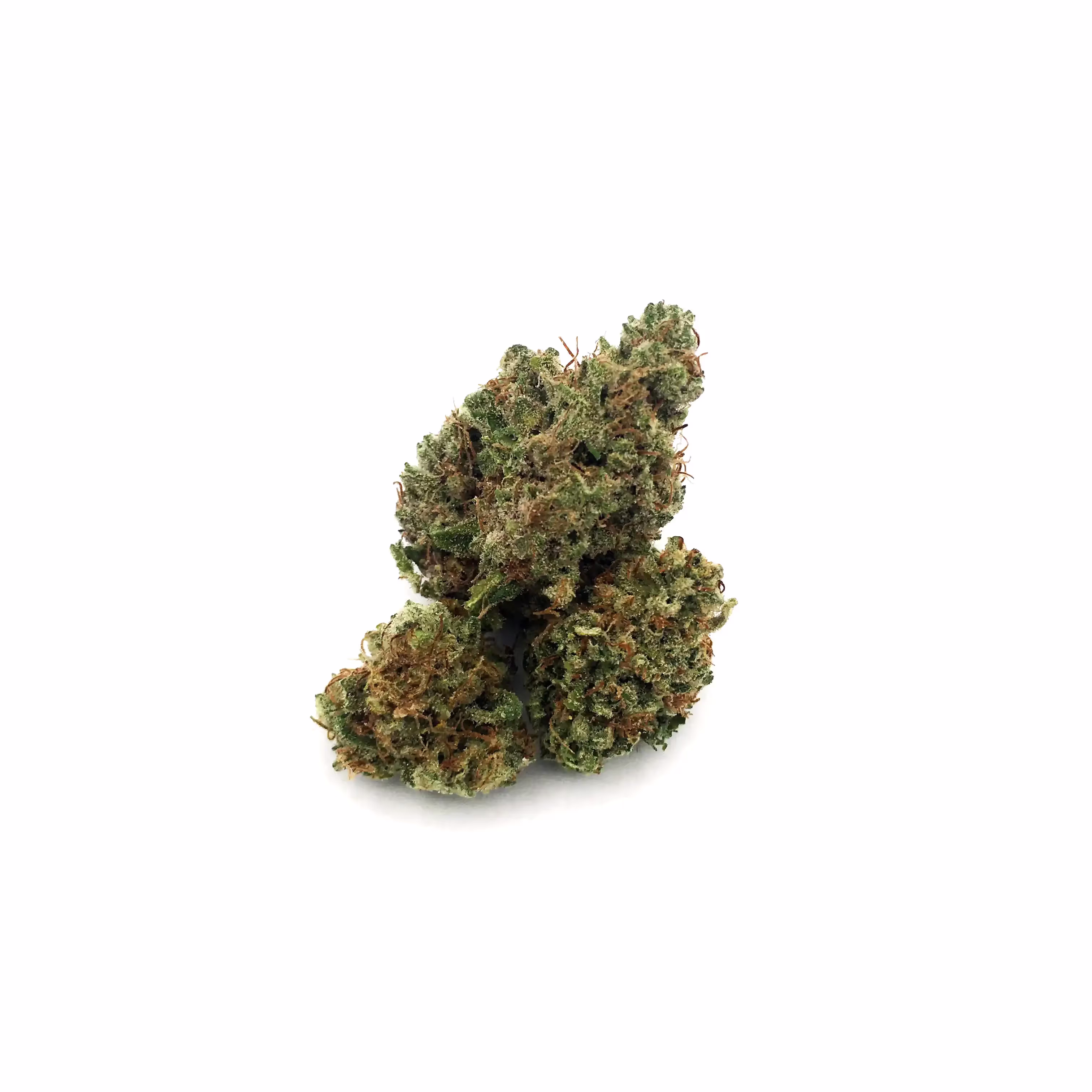 Holy Grail Haze | Bud | 1g