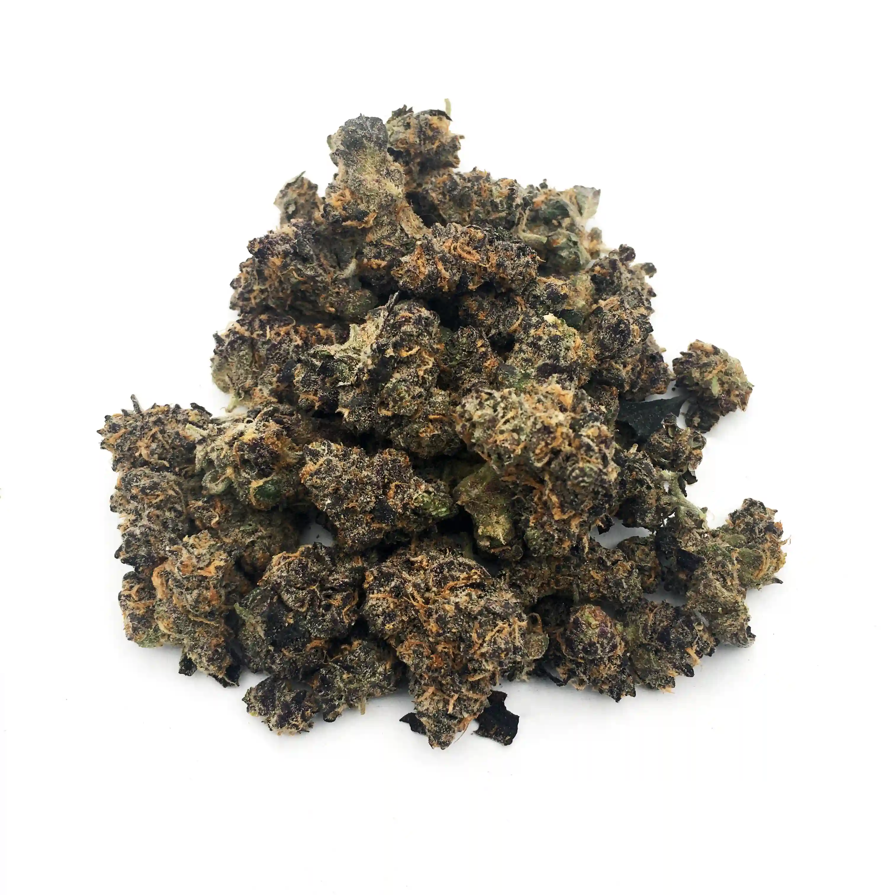 Gary Payton | Mini-Buds | 1/4 oz.