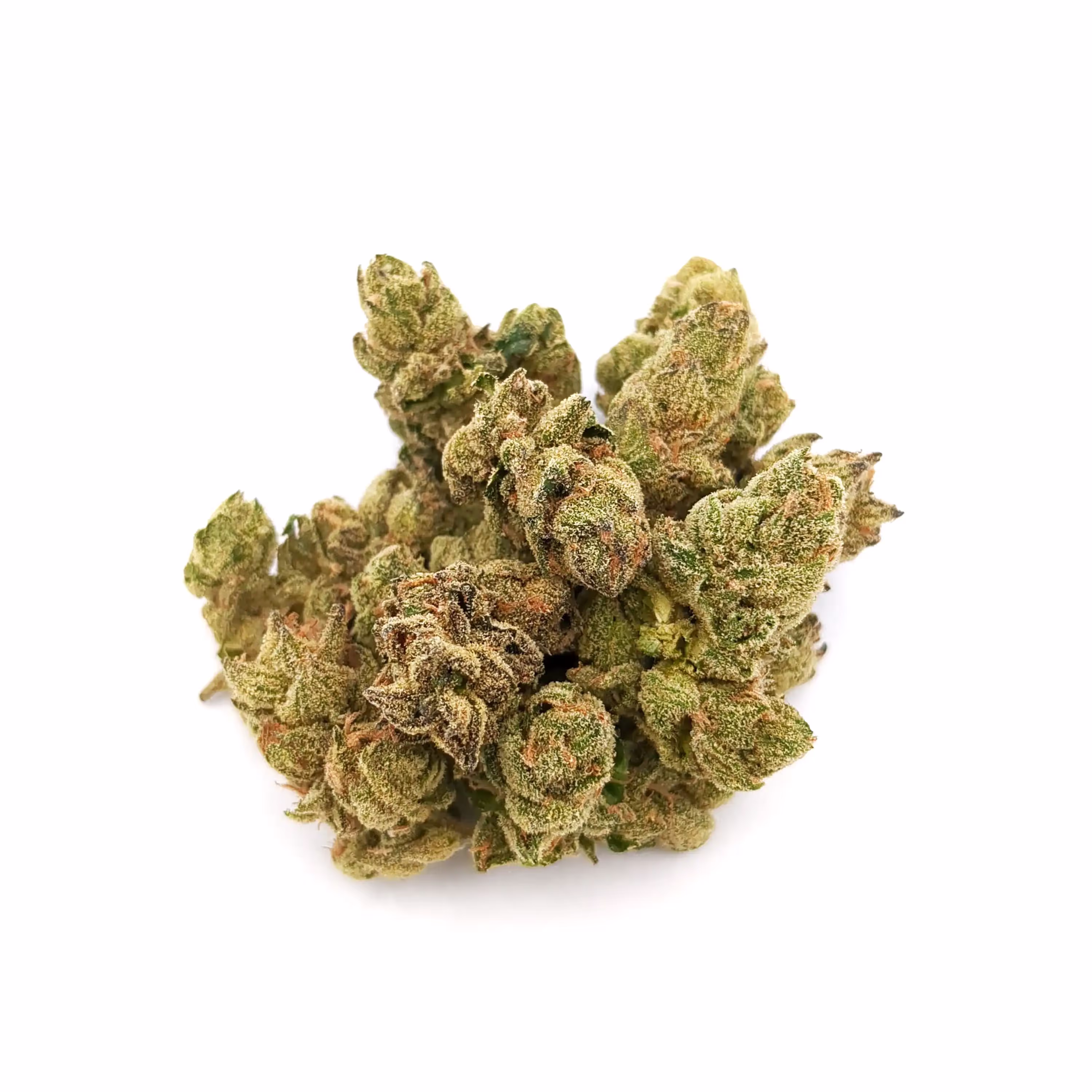 Gastro Pop | 1/8 oz.