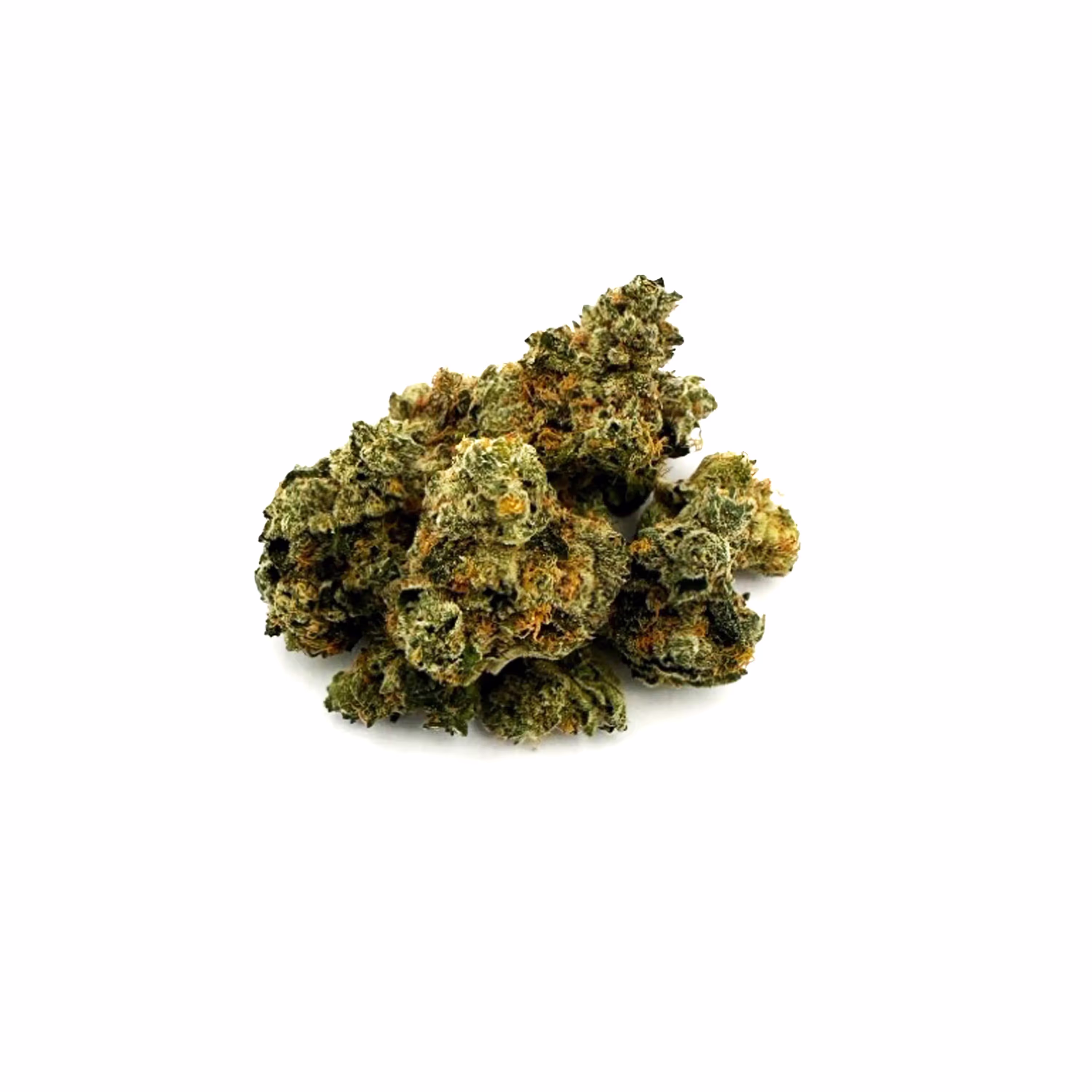 College Park | 1/8 oz.