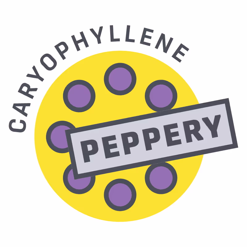 Caryophyllene