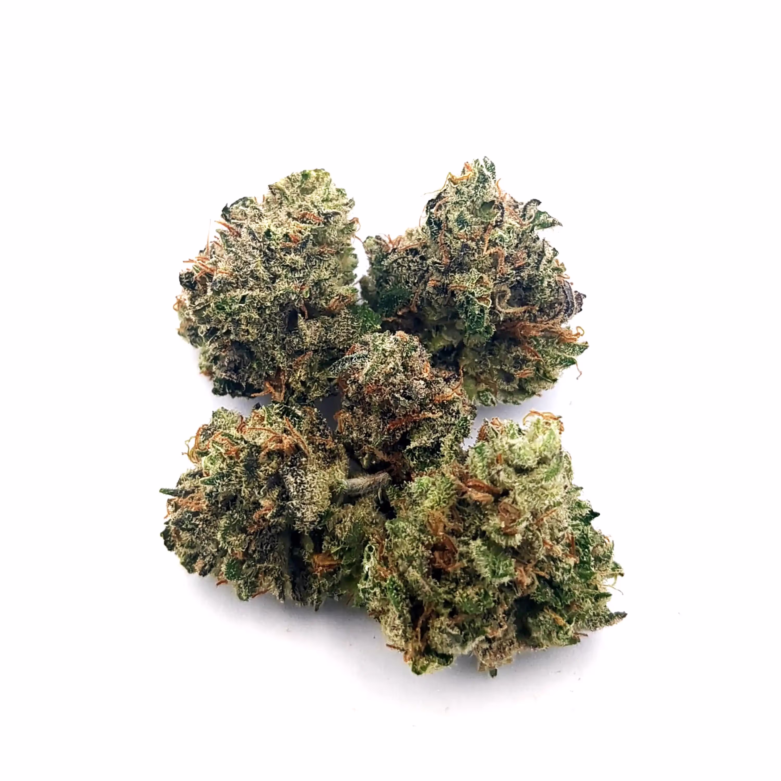 Acapulco Gold | Bud | 1g