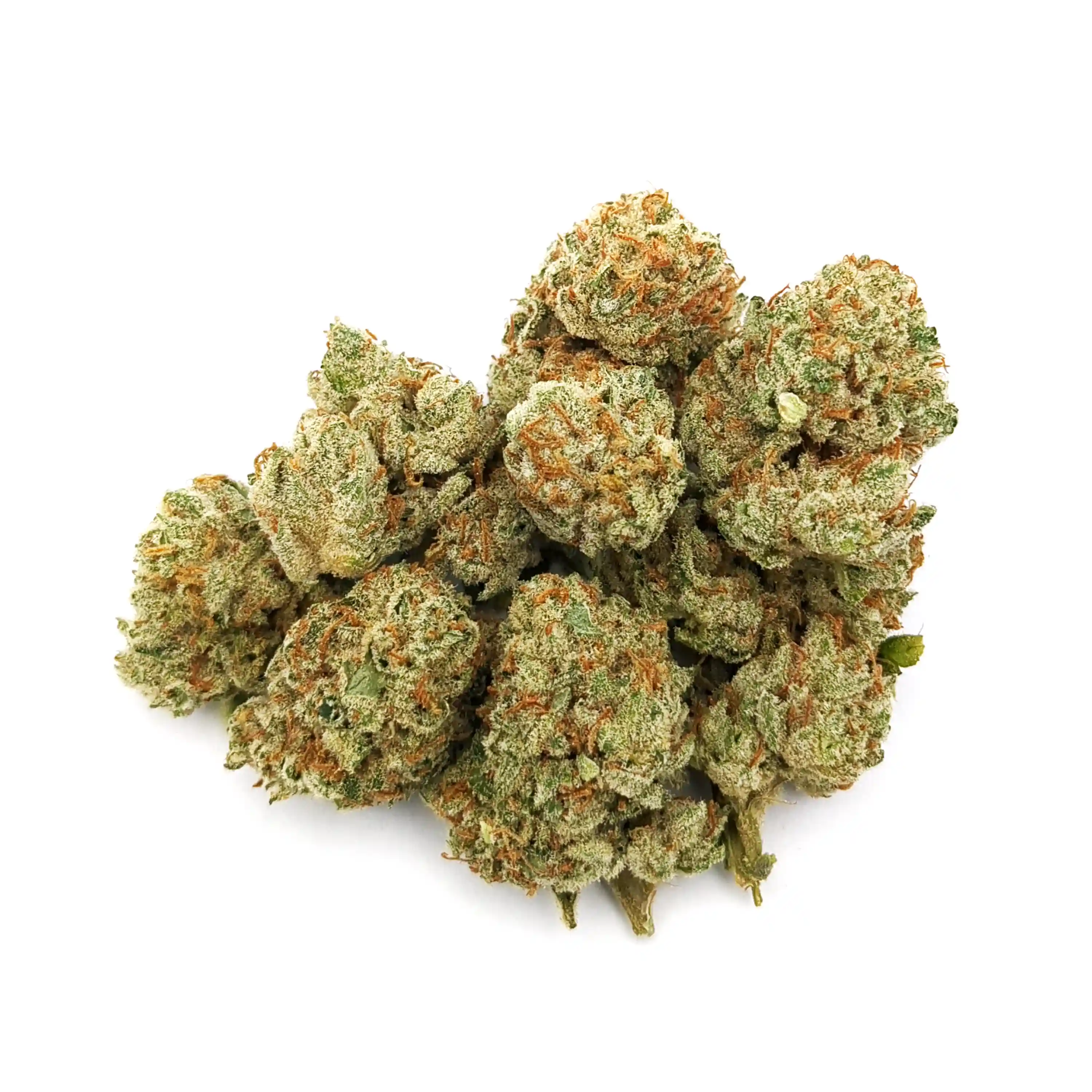 Key Lime Cheesecake | Mini-Buds | 1/8 oz.