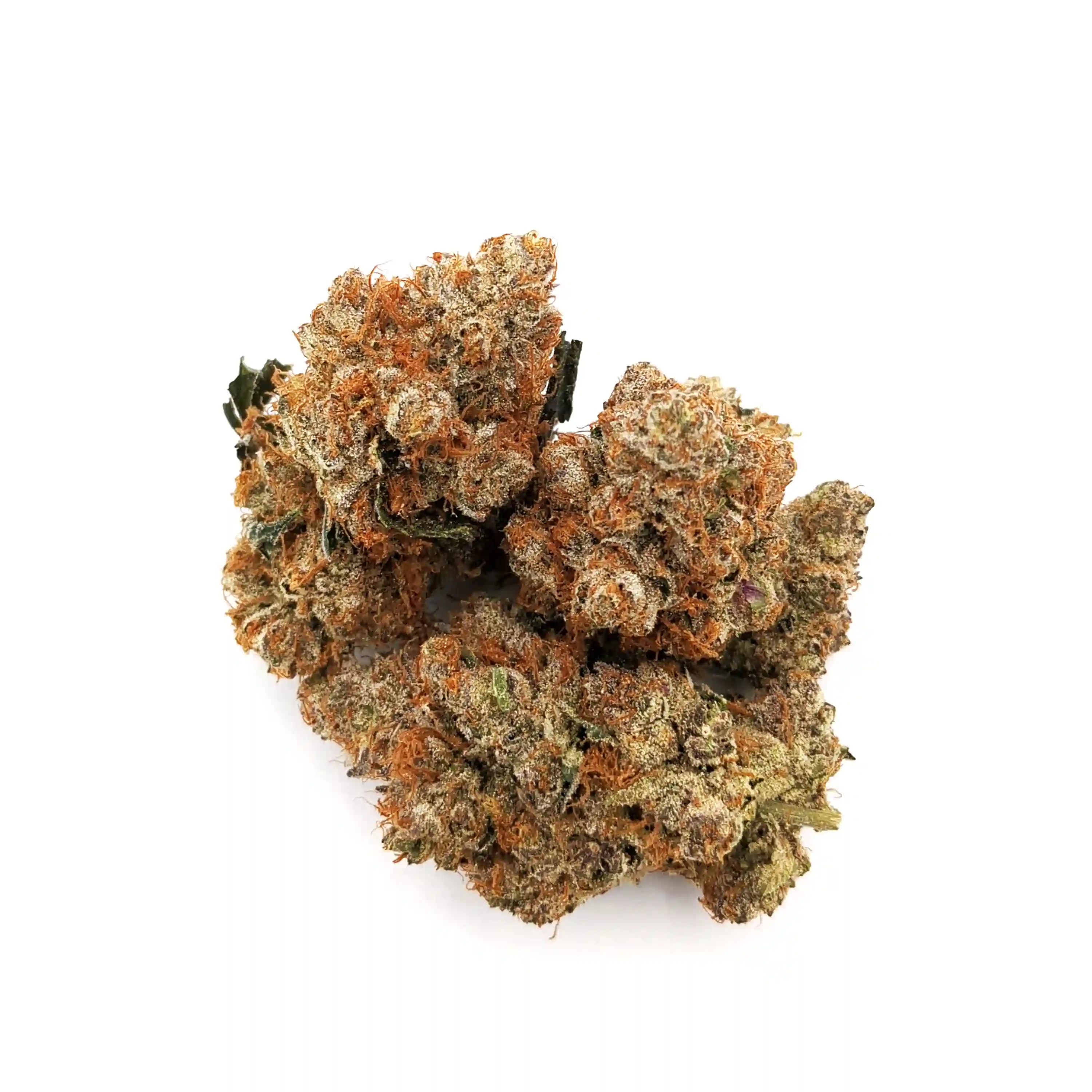 Gelato Punch | 1/2 oz.