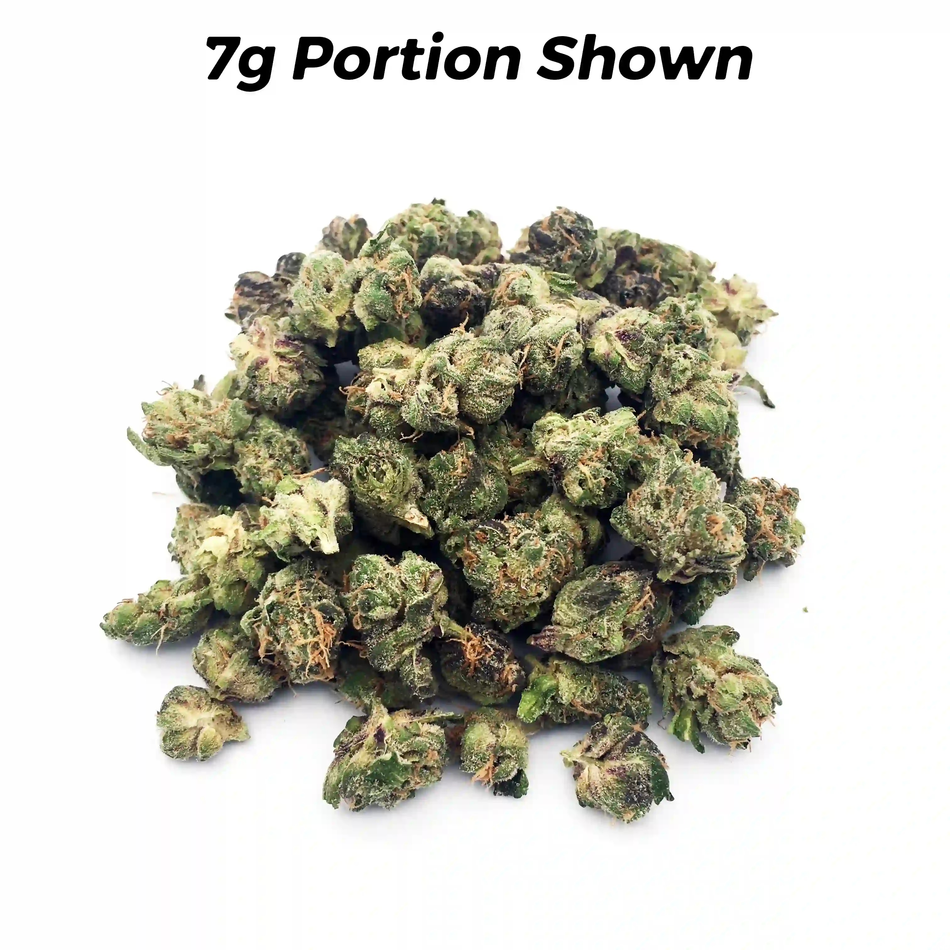 Jigglers | Mini-Buds | 1/8 oz.